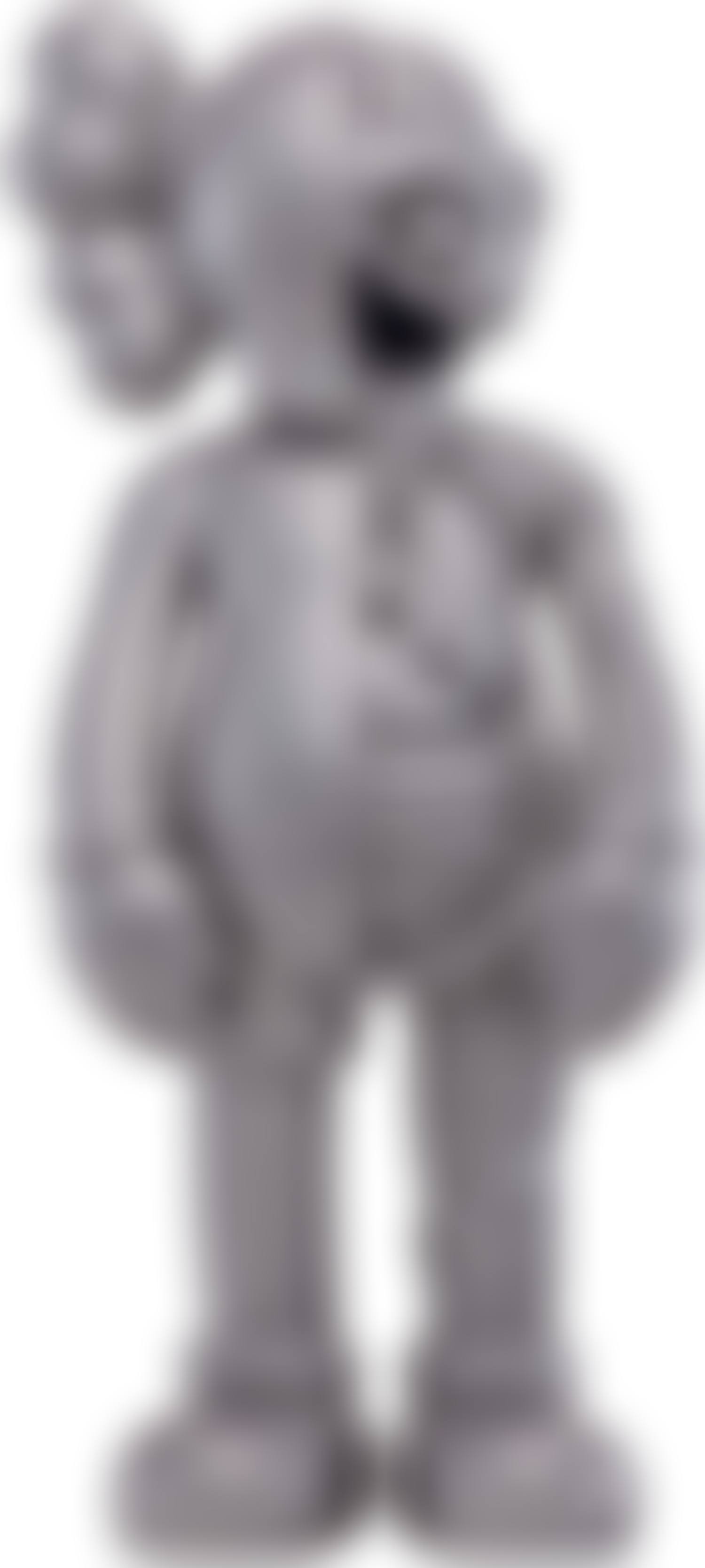 KAWS (ORIGINALFAKE) COMPANION (preview)