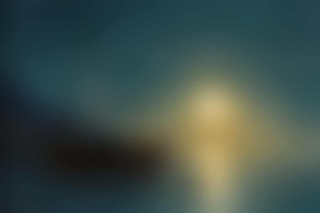 Steamboat on a Moonlit Night (preview)
