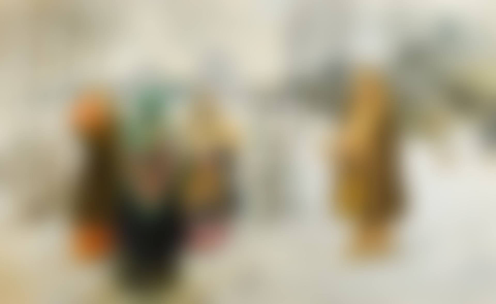 Village Fete (preview)