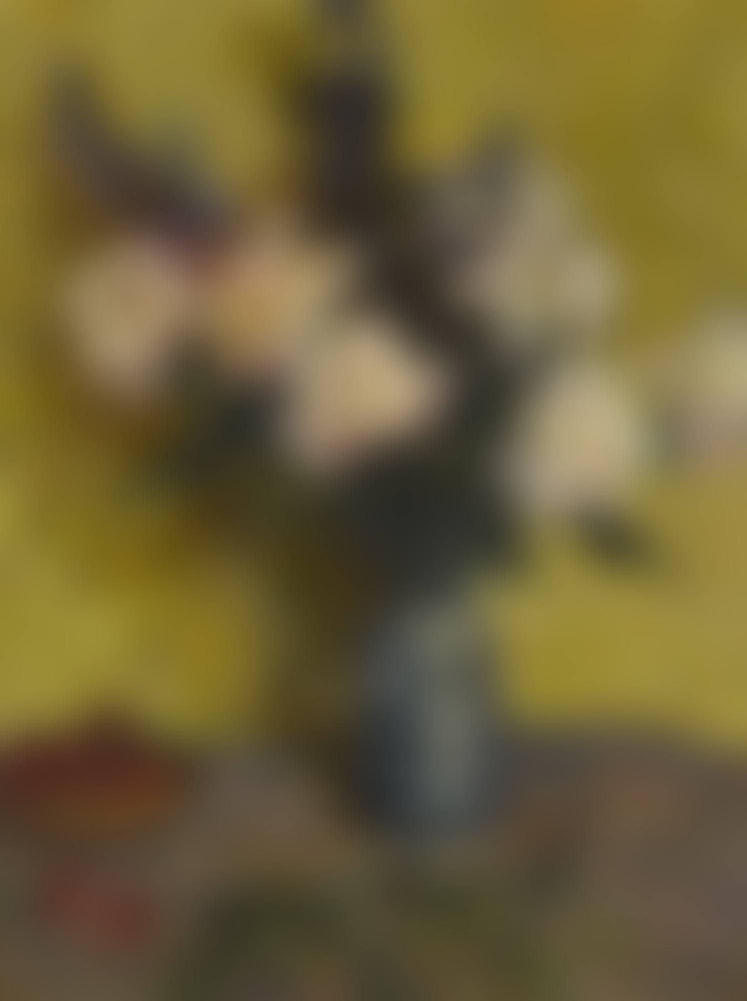 Still Life with Peonies (preview)