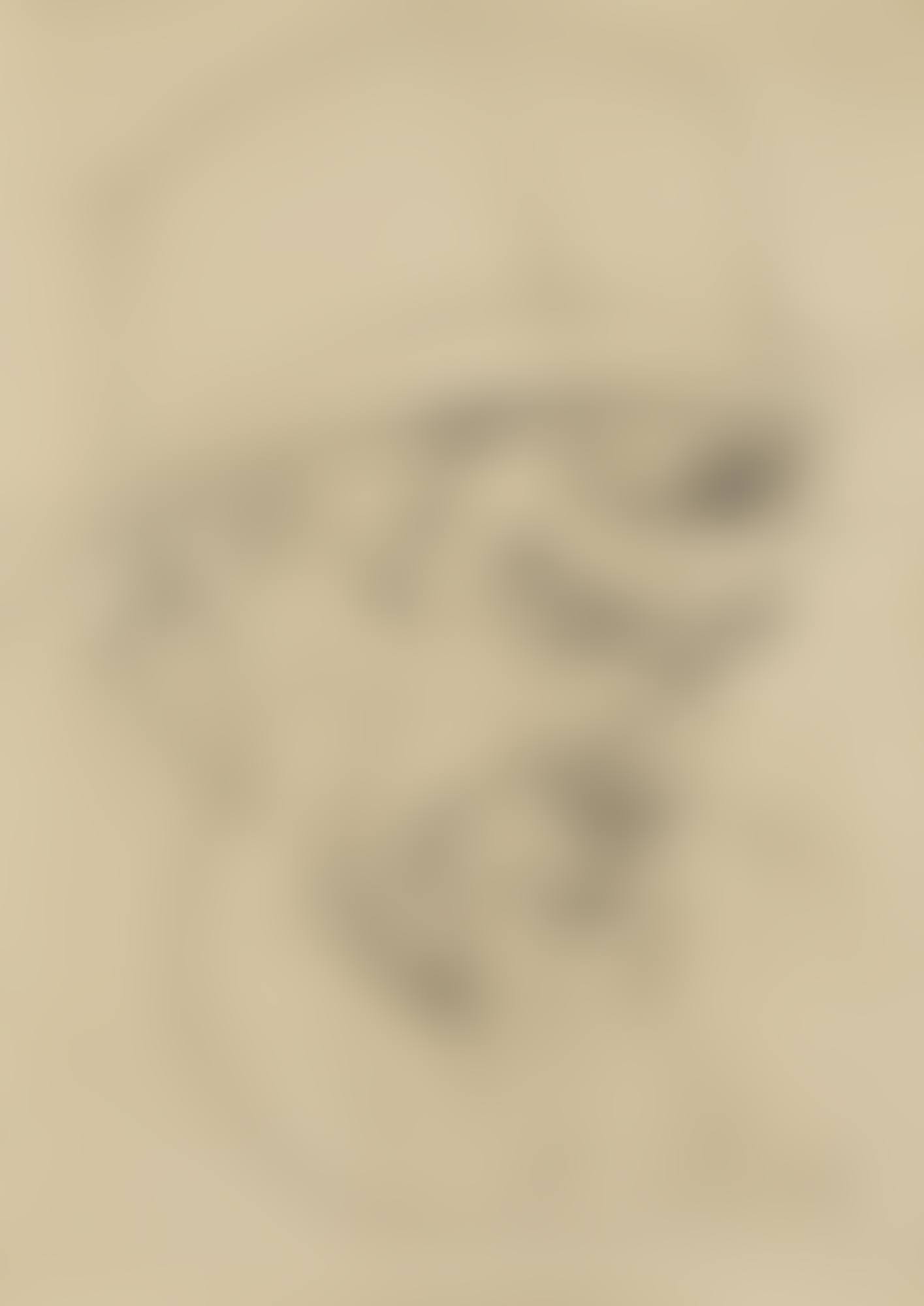 Head of a Sawyer (Study for the Triptych Sawyers) (preview)