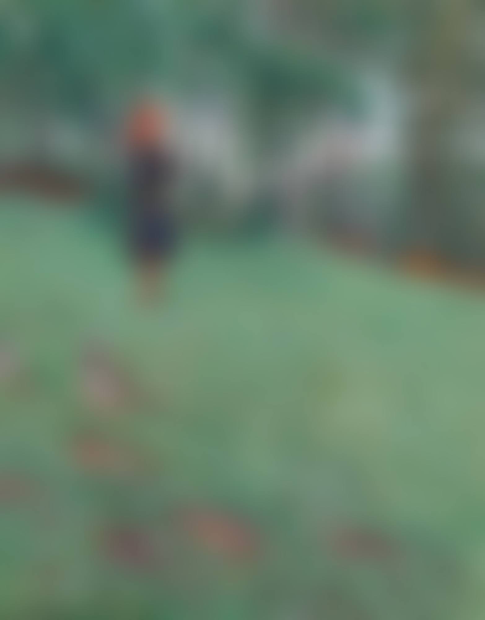 Girl Herding Cows (preview)