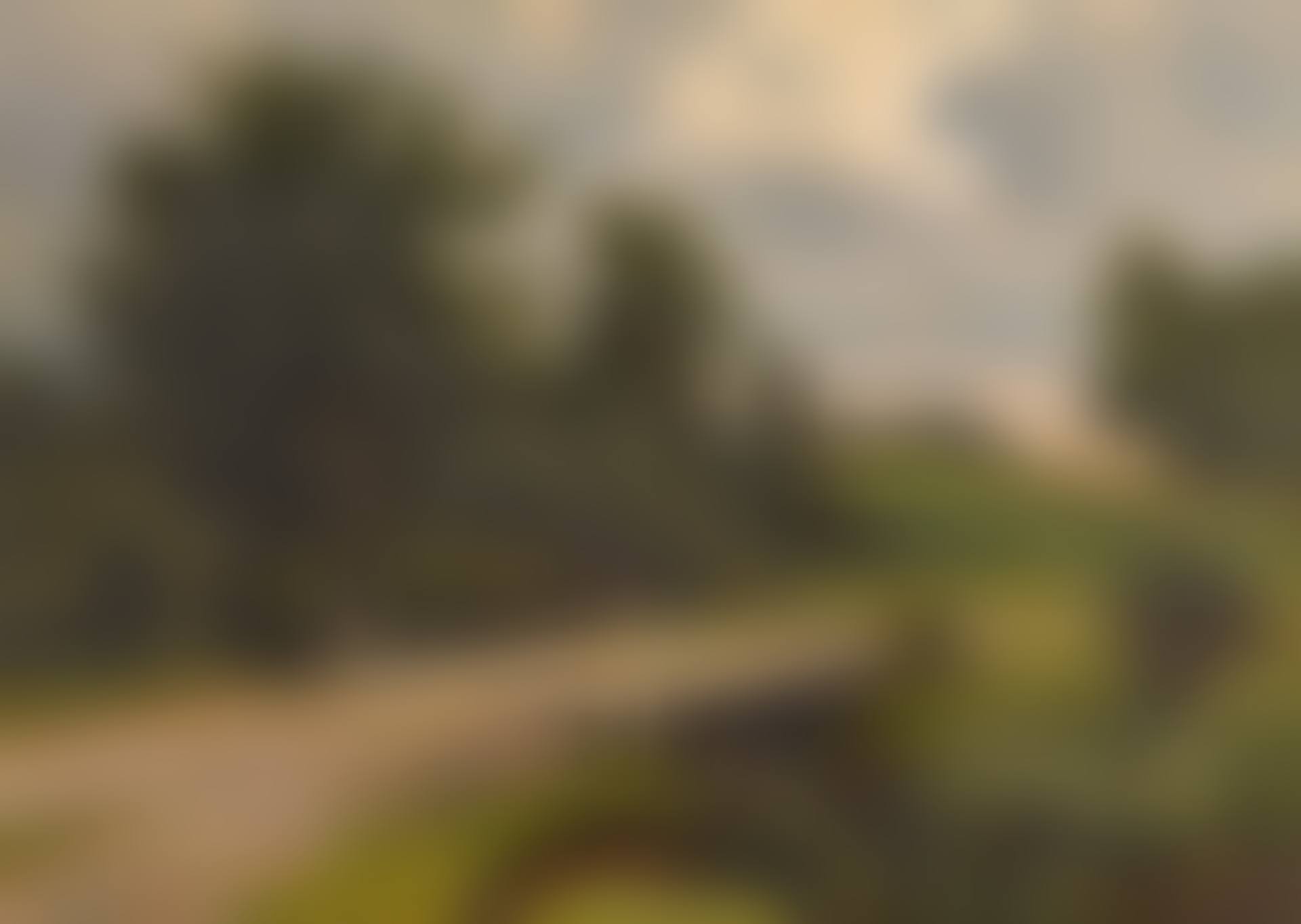 Bridge over the River Voronka at Yasnaya Polyana (preview)