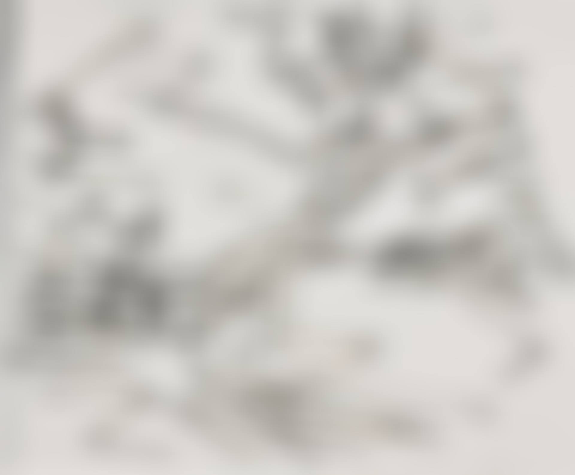 Study for Tree on Primrose Hill (preview)