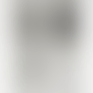 Companionship in the Age of Loneliness (preview)