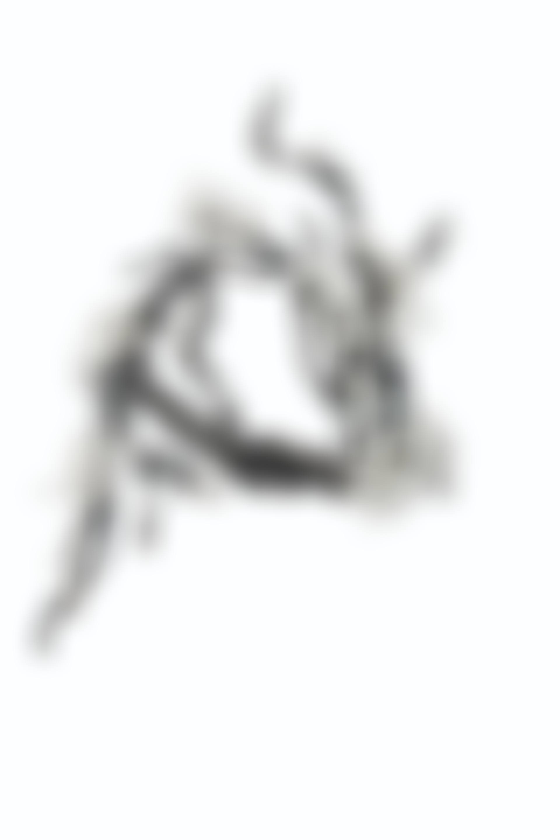 JAR DIAMOND 'BRANCH UNDER SNOW' BANGLE BRACELET (preview)