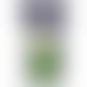 UNTITLED (ORIGINAL FAKE SERIES) (preview)