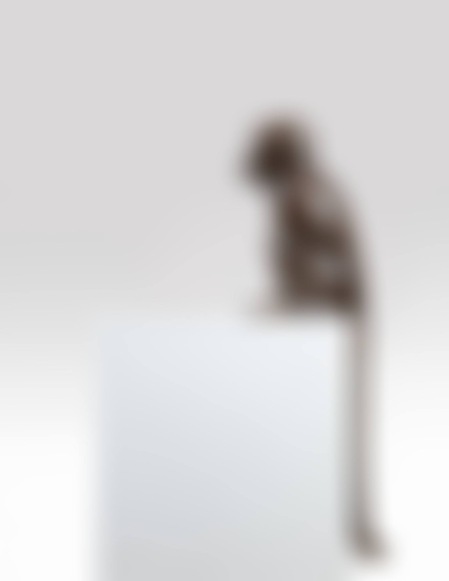 Singe II (preview)
