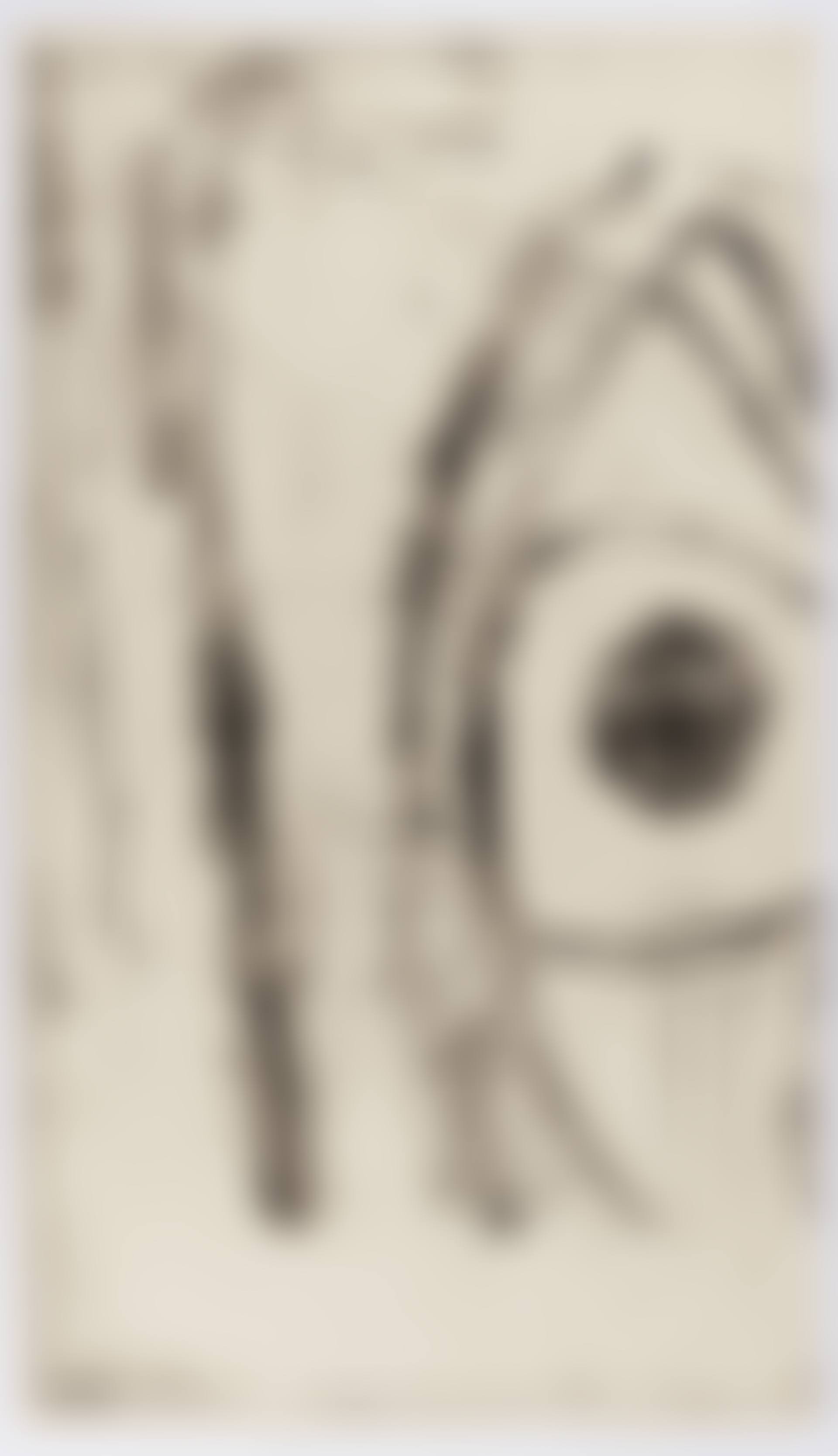 Grosses Auge (preview)