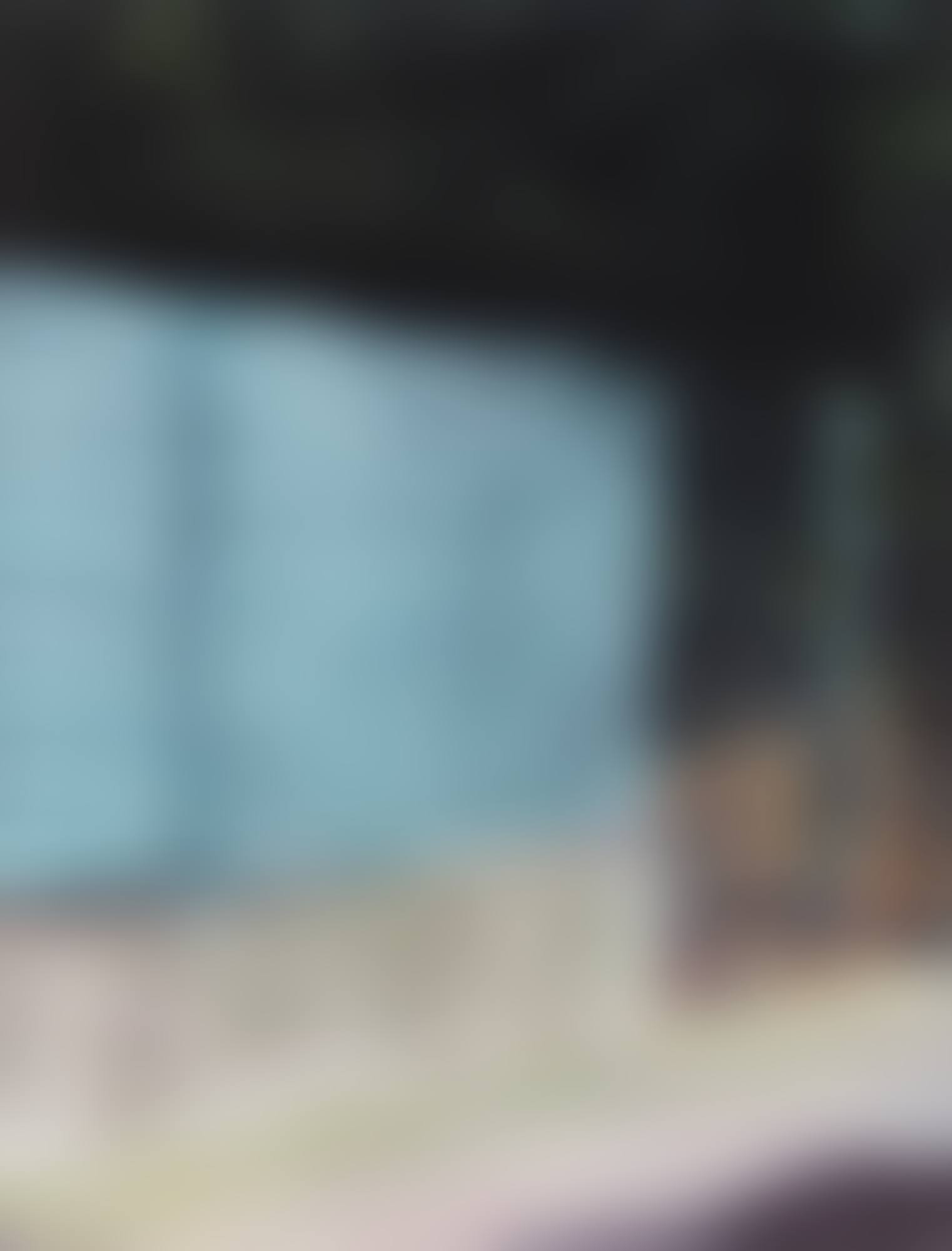 Fence (P13) (preview)