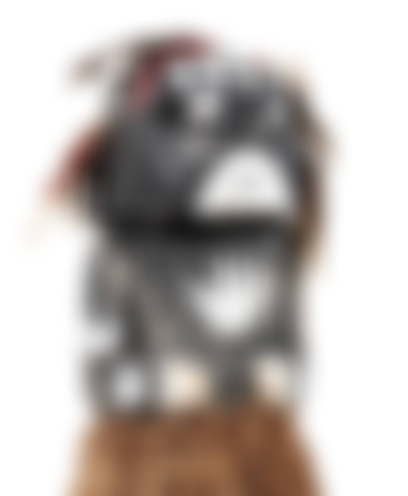 Poupée kachina représentant Mastop, Hopi, Arizona | Hopi Mastop kachina doll, Arizona (preview)
