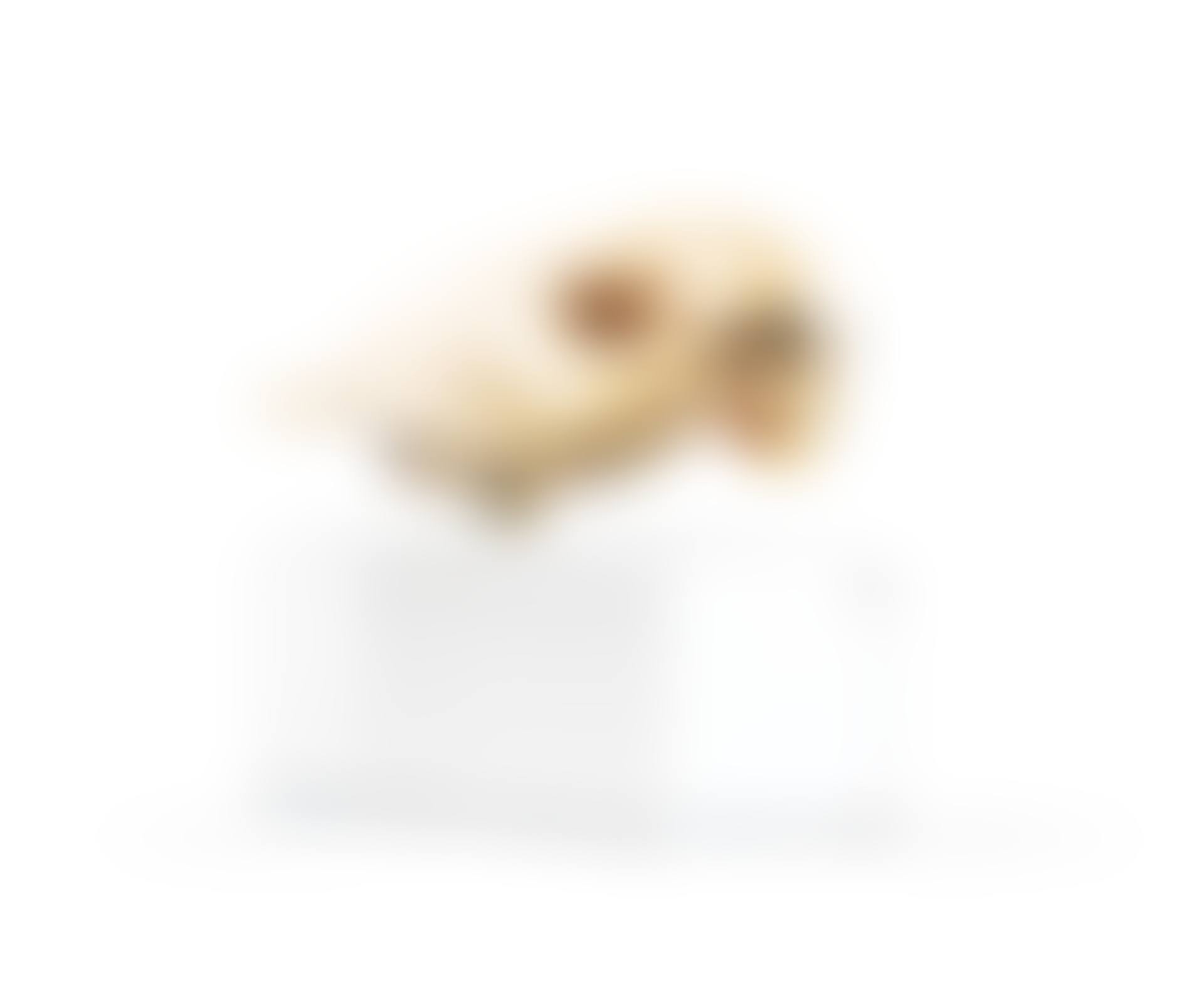 Pendentif phoque en ivoire de morse, Inuit, Alaska | Seal-shaped pendant, Inuit, Alaska (preview)