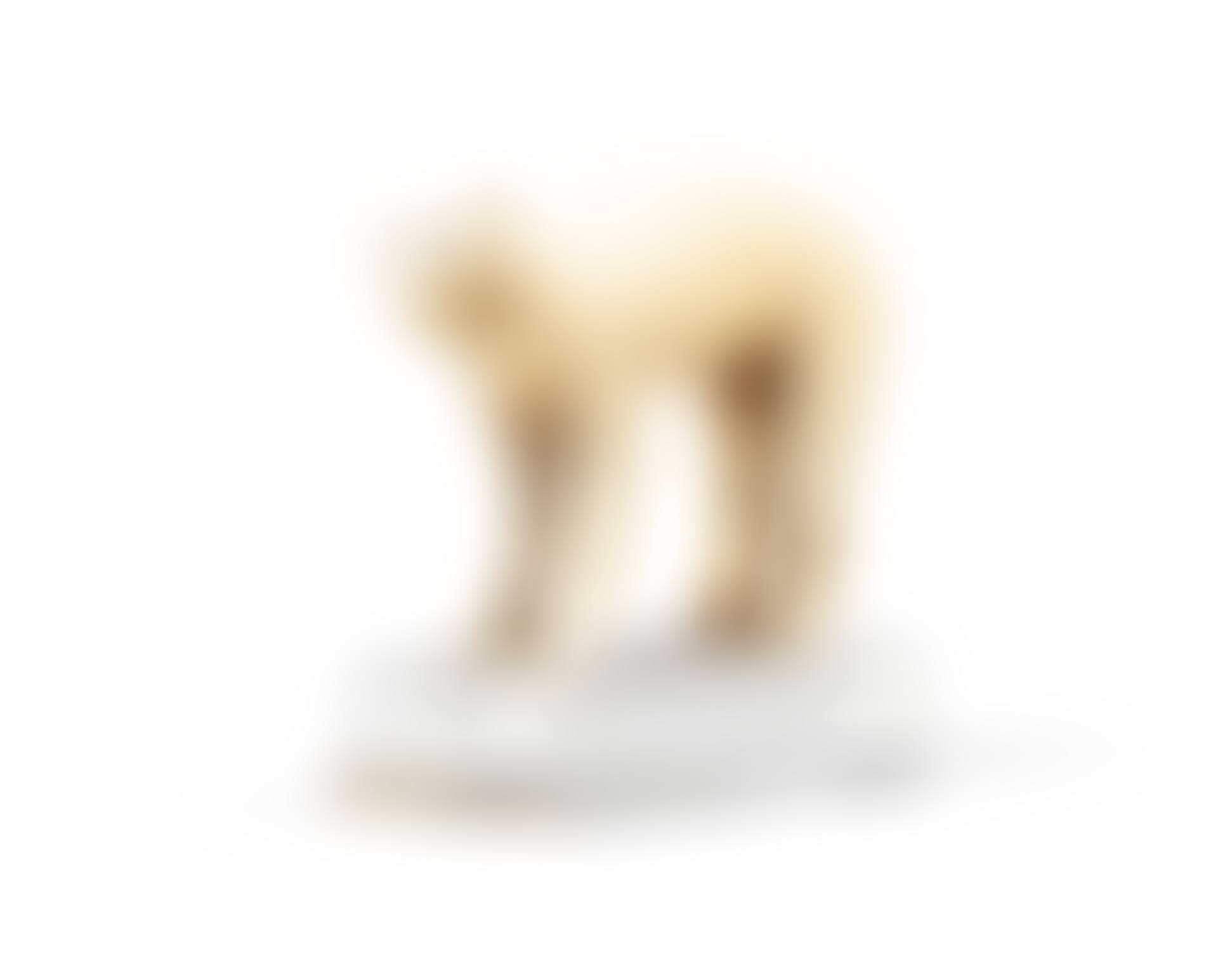 Statuette d'ours en ivoire de morse, Inuit, Alaska | Bear effigy figure, Inuit, Alaska (preview)