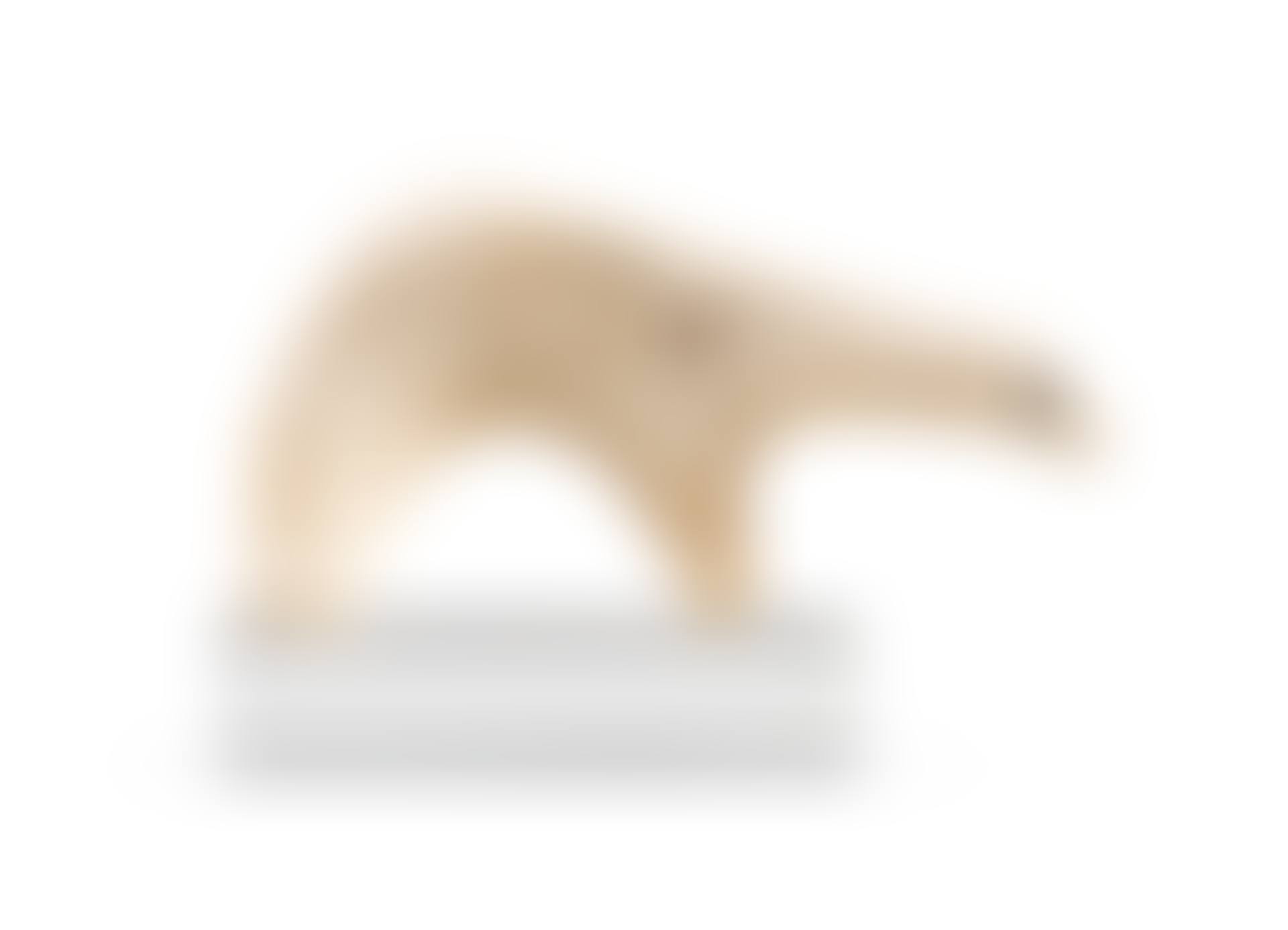 Figurine d'ours en andouiller, Inuit, Alaska | Inuit antler bear figurine, Alaska (preview)