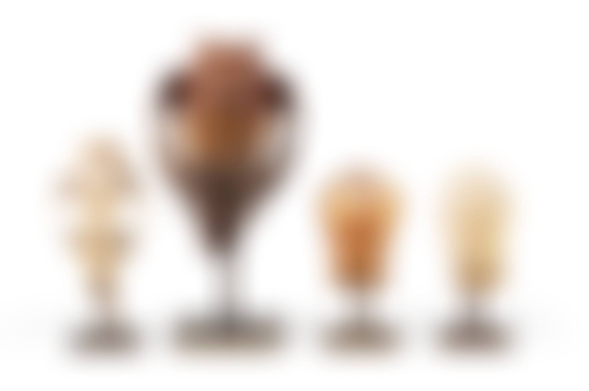 Quatre crânes cérémoniels, Atoni, West Timor, Indonesia | Four Atoni ceremonial skulls, Atoni, Occidental Timor, Indonésie (preview)