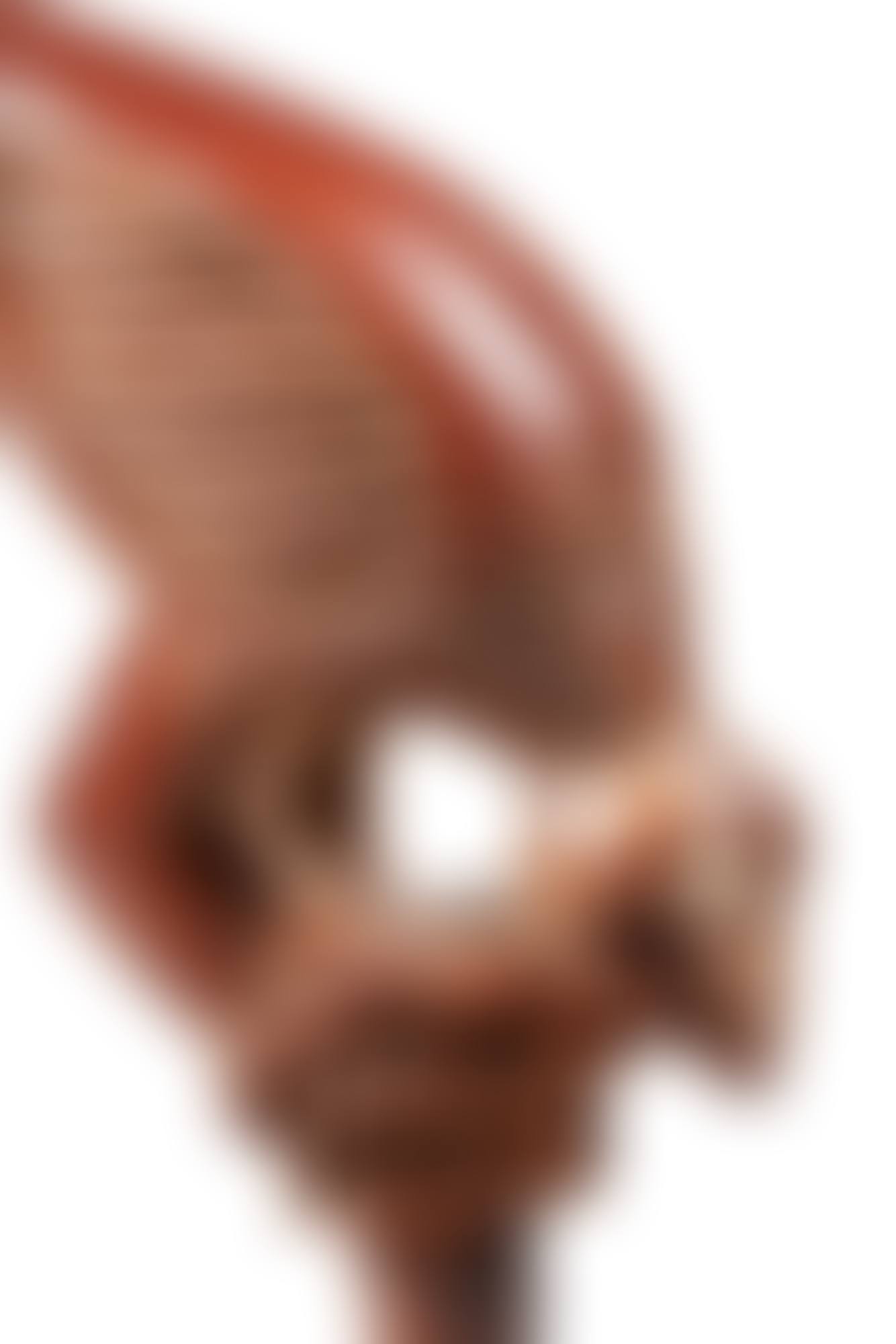 Sommet de spatule en forme d'oiseau, Iatmul, Moyen Sépik, Papouasie-Nouvelle-Guinée | Iatmul spatula head with a bird effigy, Middle Sepik, Papua New Guinea (preview)
