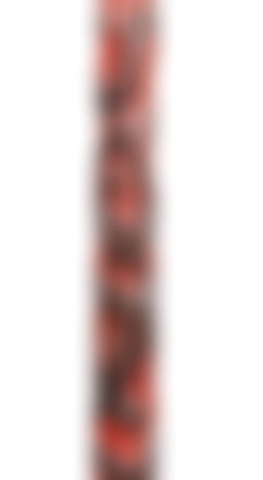 Canne, Lac Sentani, Papuasie-Nouvelle-Guinée | Sentani Lake staff, Papua New Guinea (preview)