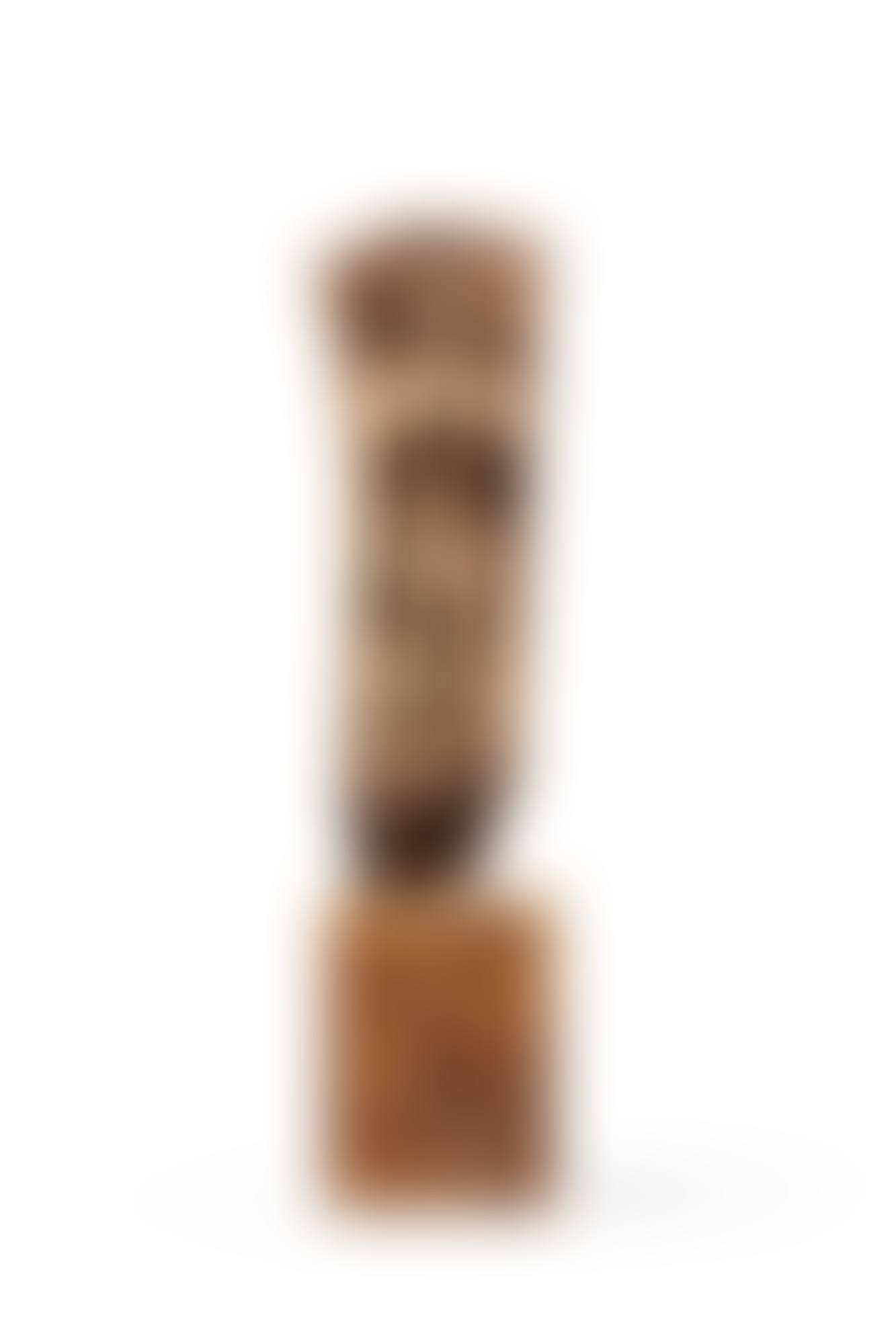 Pilier toguna, Bamana, Mali | Bamana toguna pillar, Mali (preview)