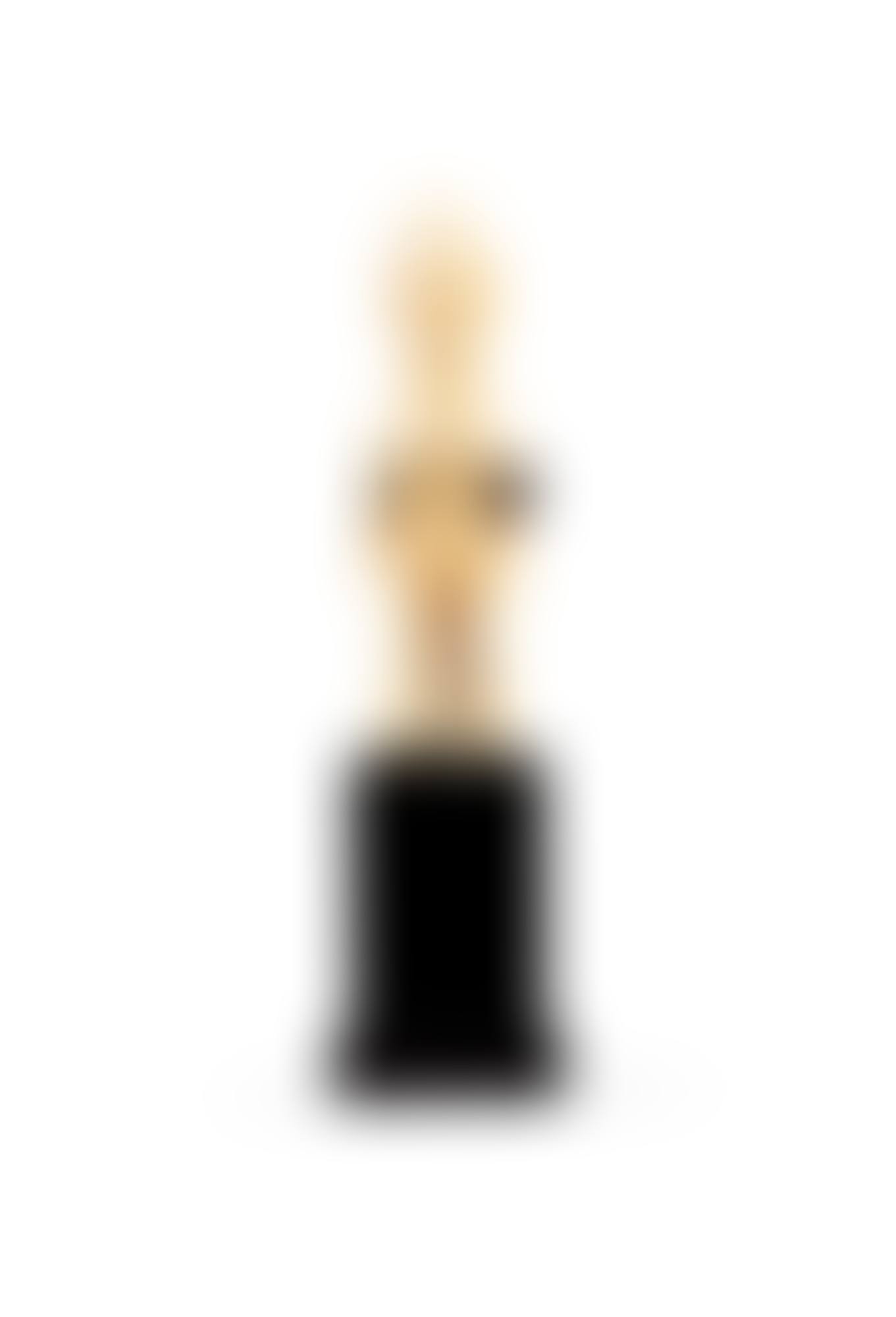 Statuette en ivoire, Luba, République démocratique du Congo | Luba ivory figure, Republic Democratic of the Congo (preview)