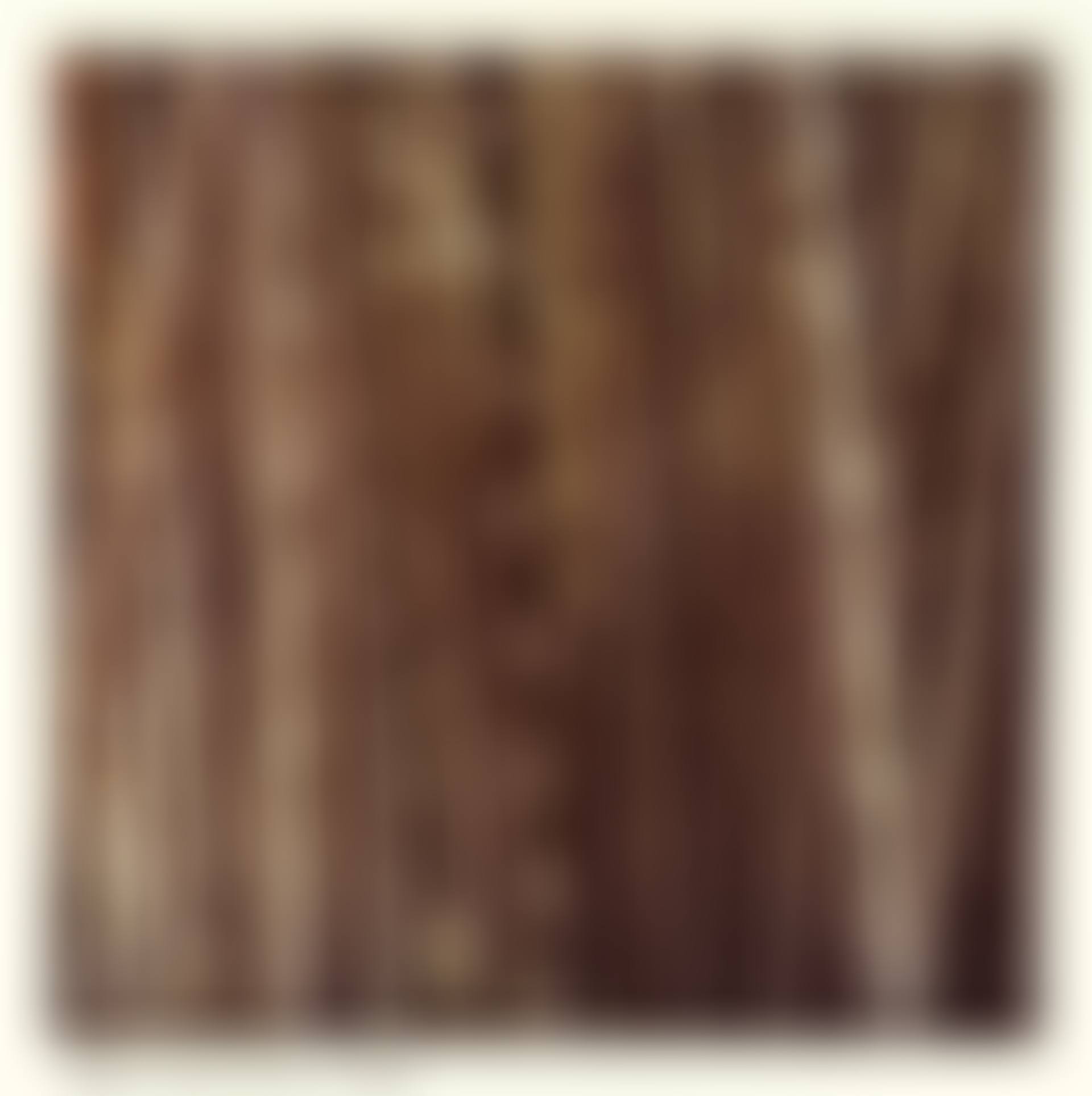 Bamboo, from 'Studies for Chinese Summerhall (Large)' (preview)