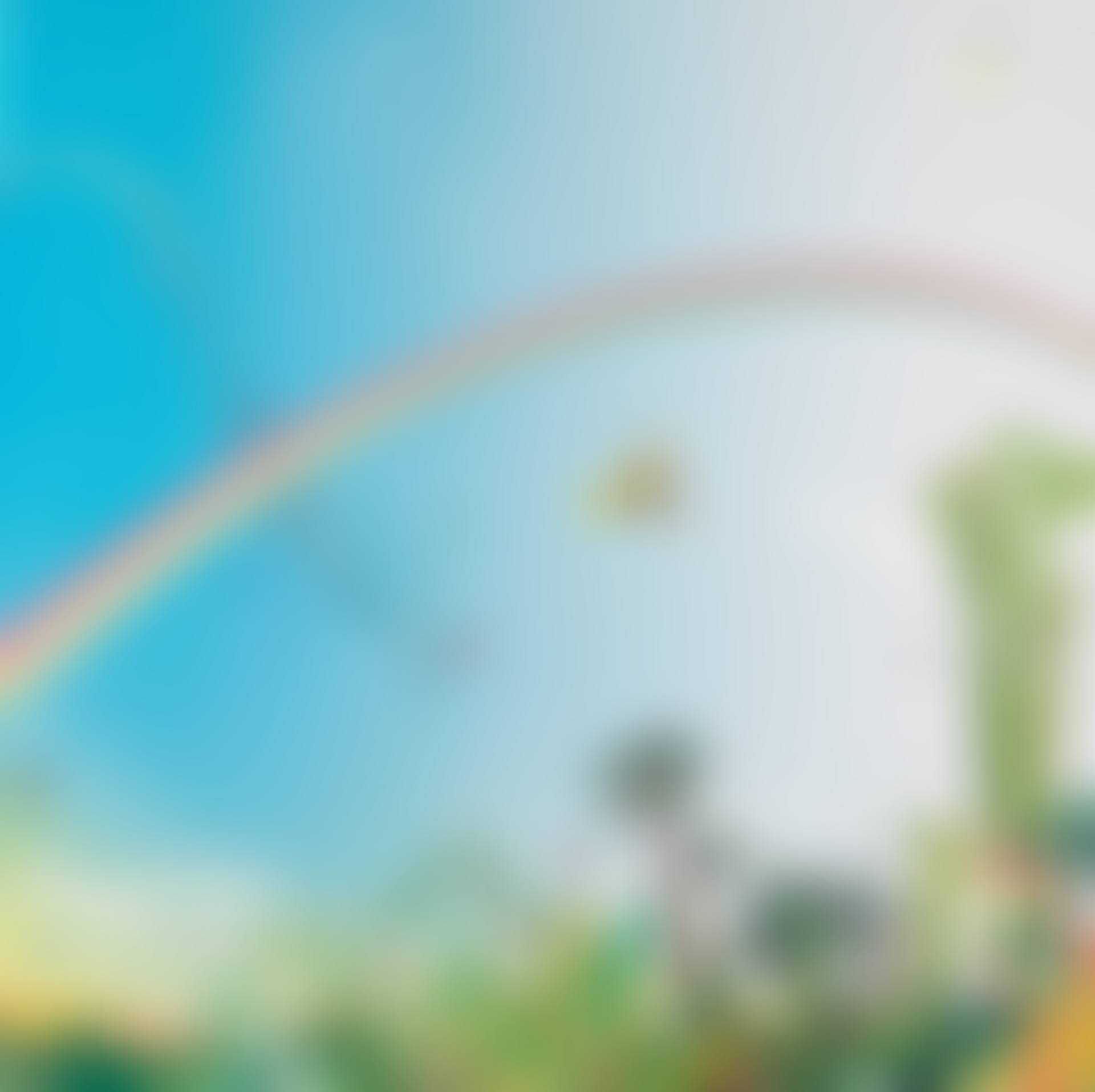 Japanese Apricot; Sky (preview)