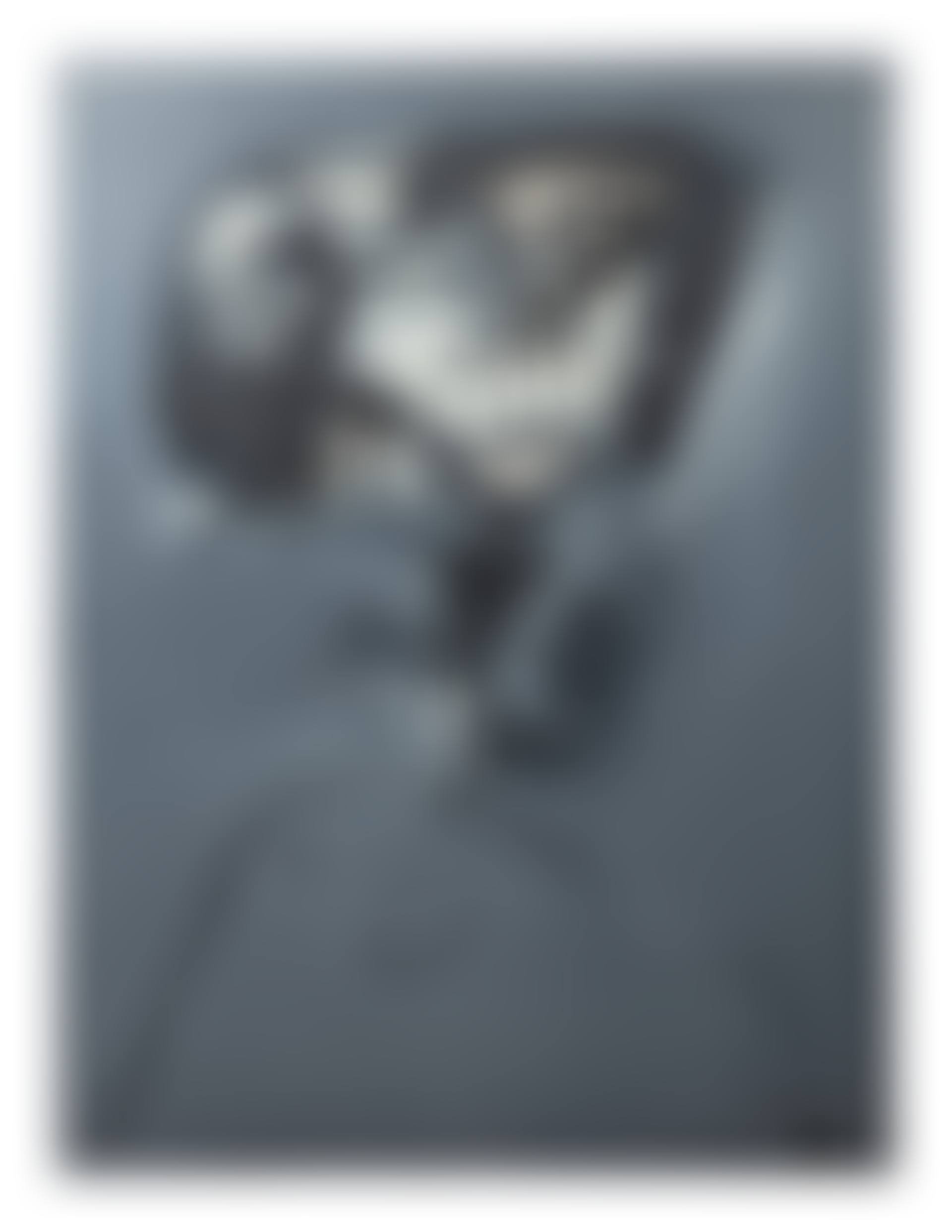Popea (preview)