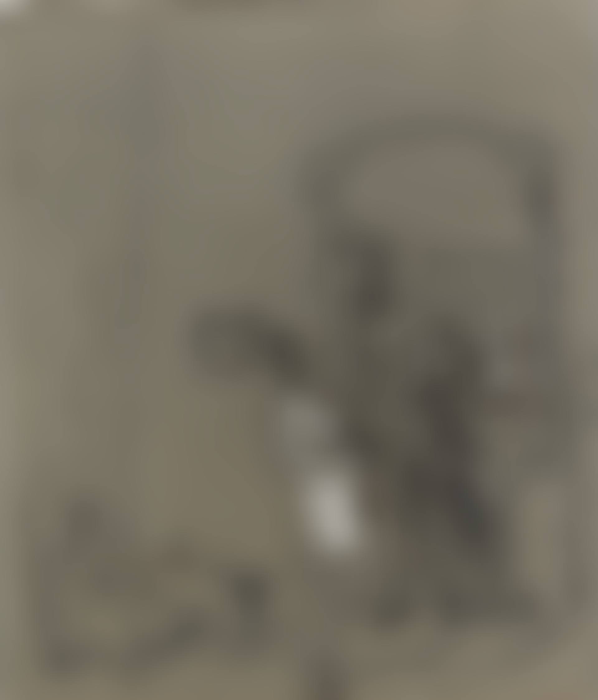 The Artist"s Home in New Orleans (preview)