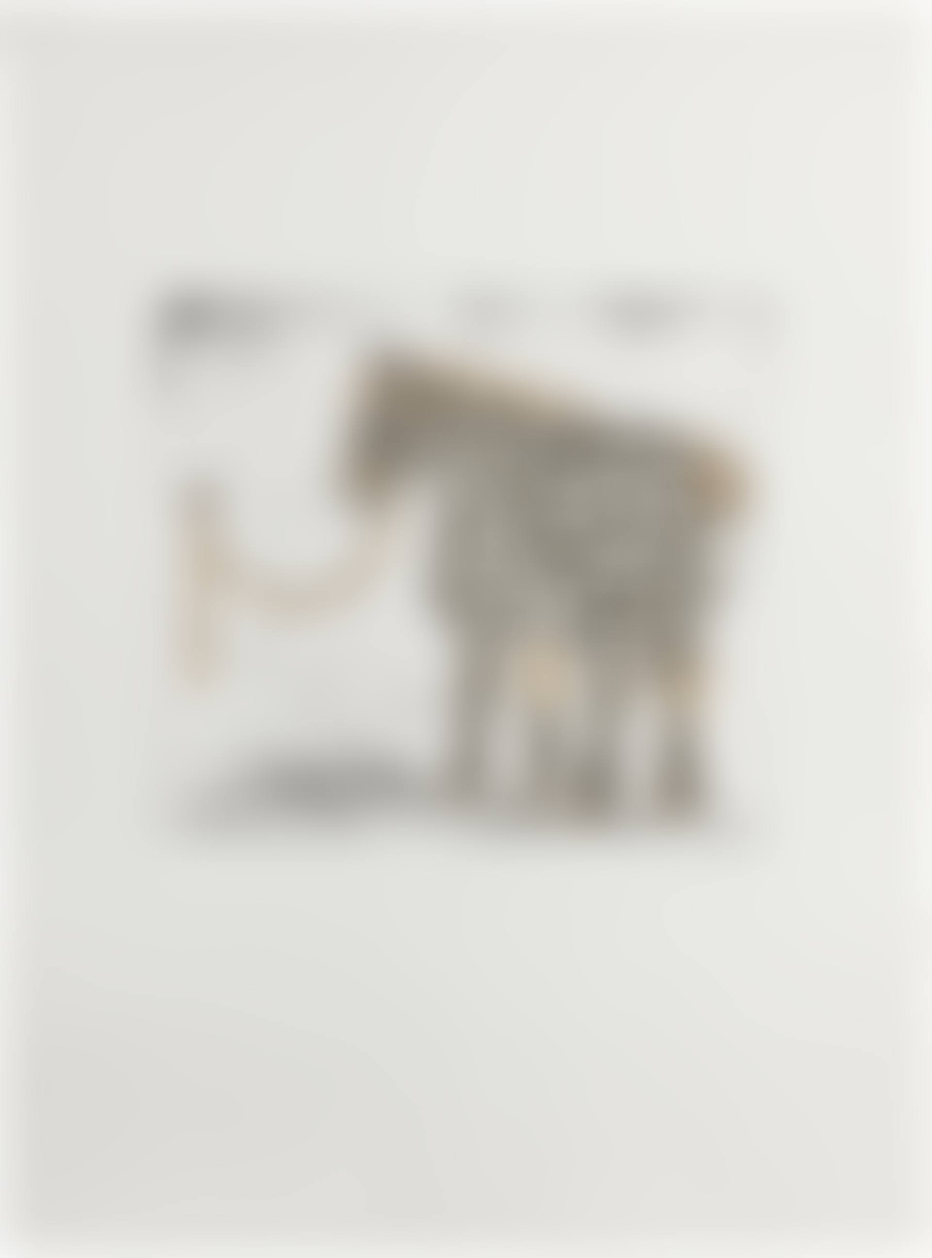Le Cheval (preview)