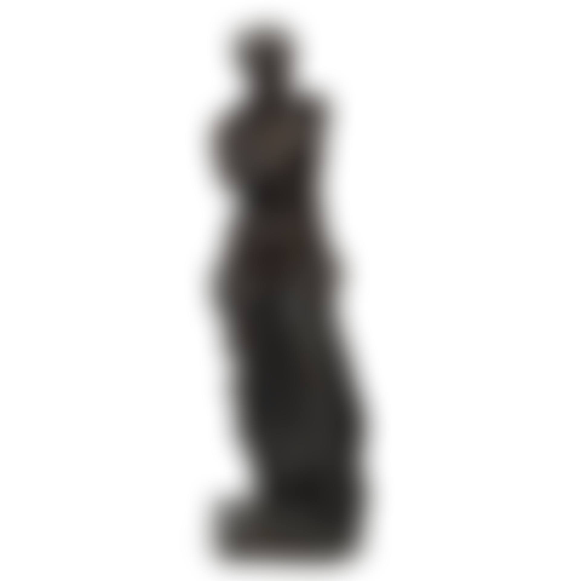 A large late 19th/early 20th century French patinated bronze figure of the Venus de Milo (preview)