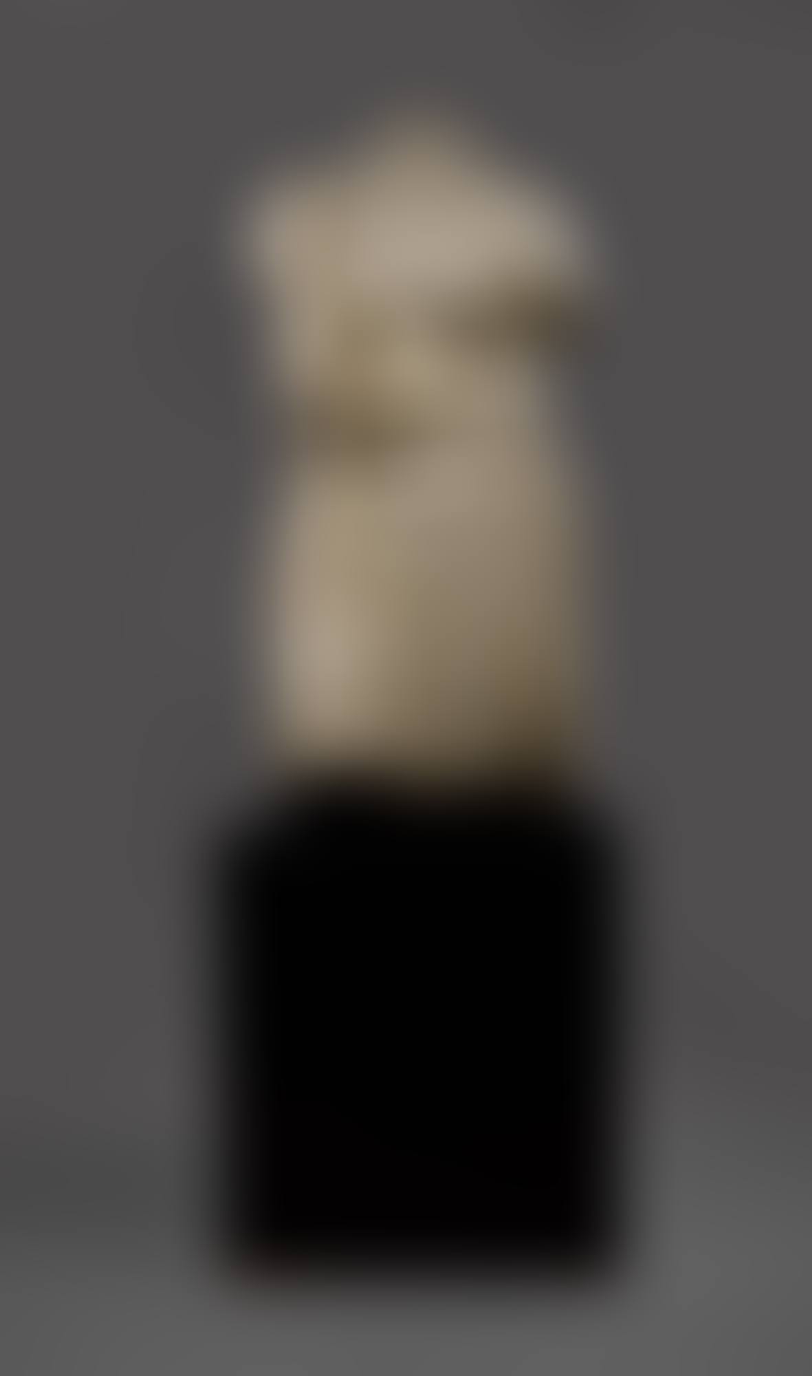 Draped Female Torso (preview)