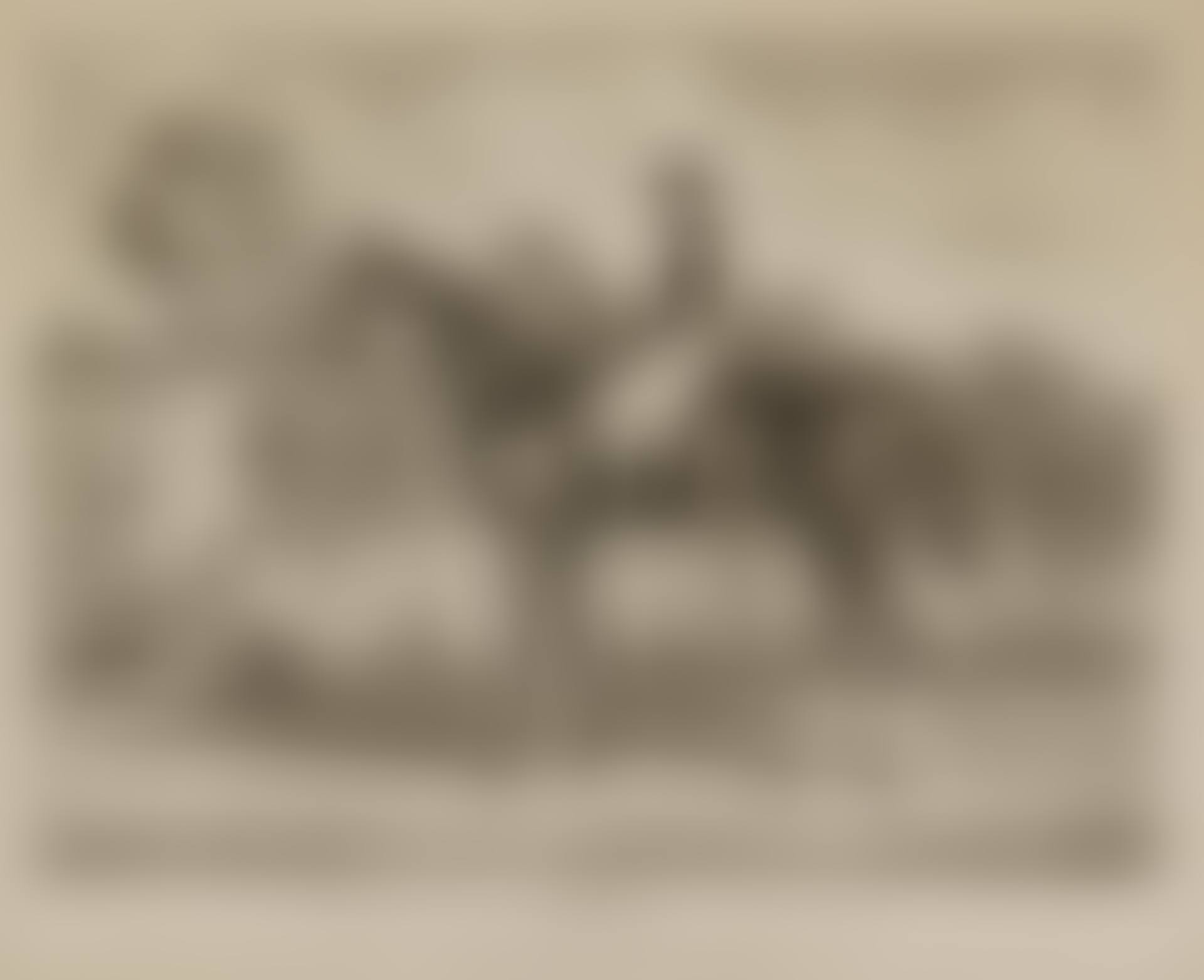 A Group of 5 Sporting Prints; Fox-Hunting Plates (preview)