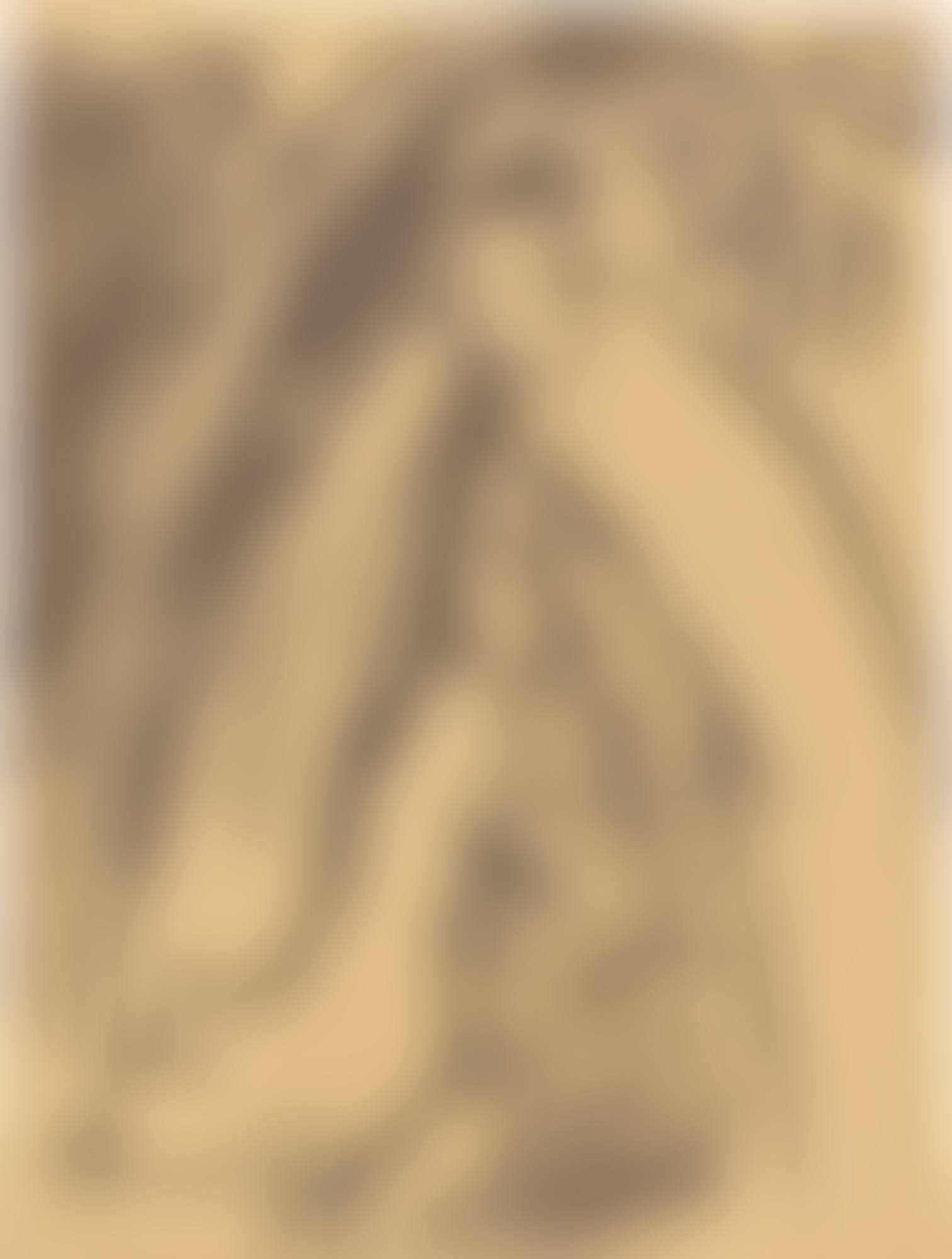 Ohne Titel (preview)