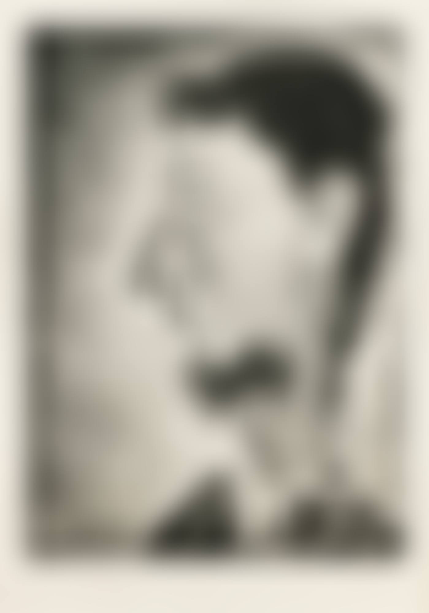 Portrait de Pierre Crommelynck II (B. 1378; Ba. 1400) (preview)