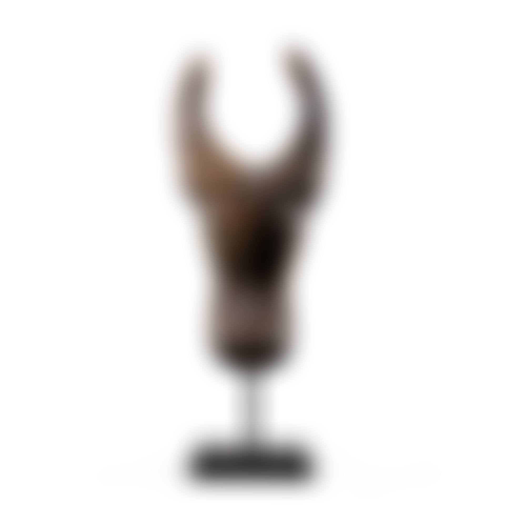 Buffalo Bamileke Mask, Cameroon (preview)
