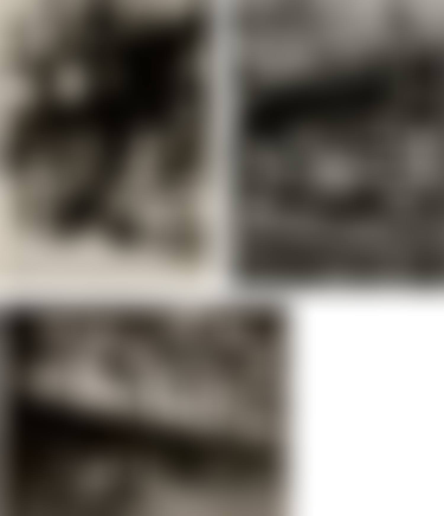 Selected Images of Paris (preview)