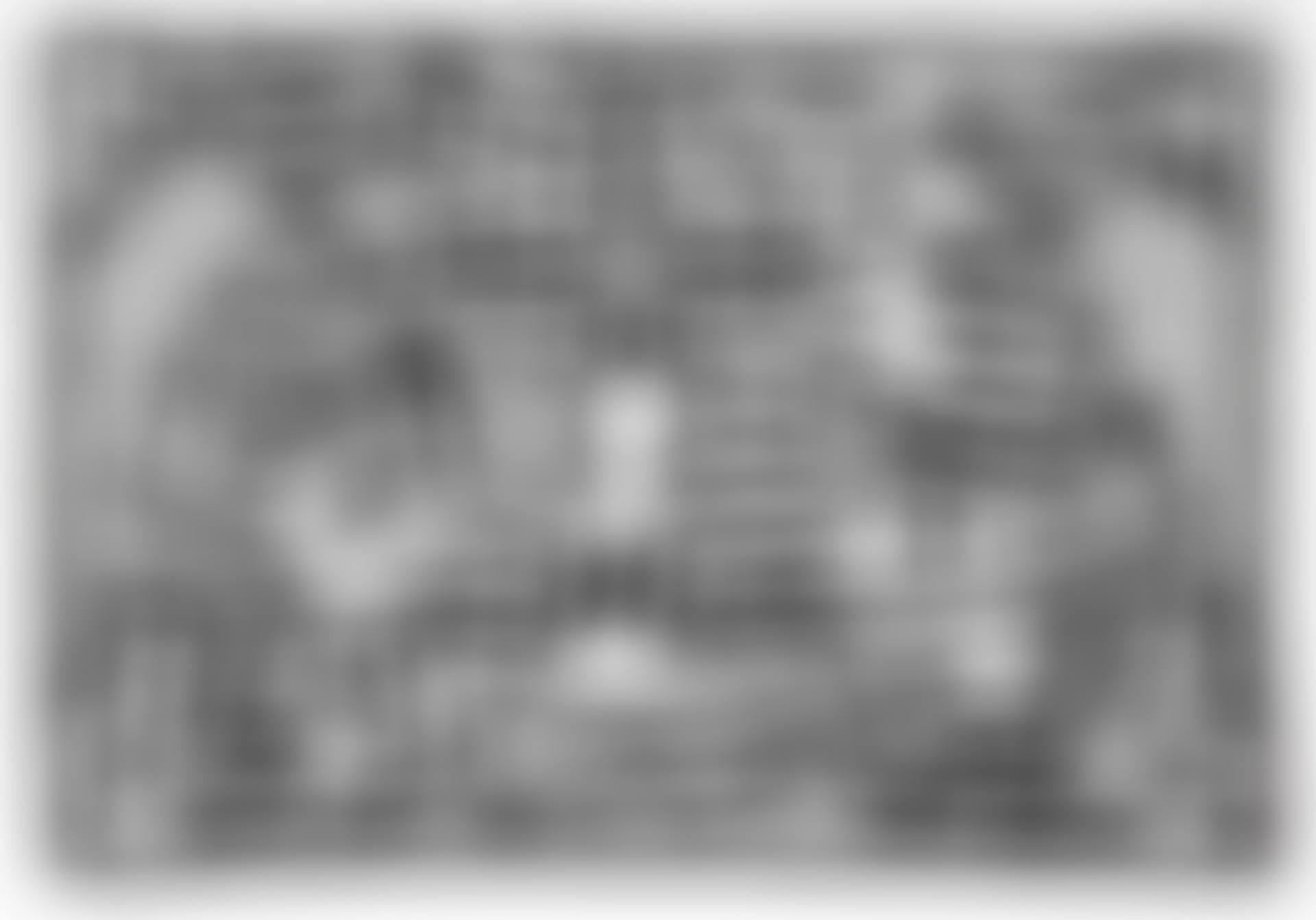 Untitled 1-6: one plate (L. p. 20) (preview)