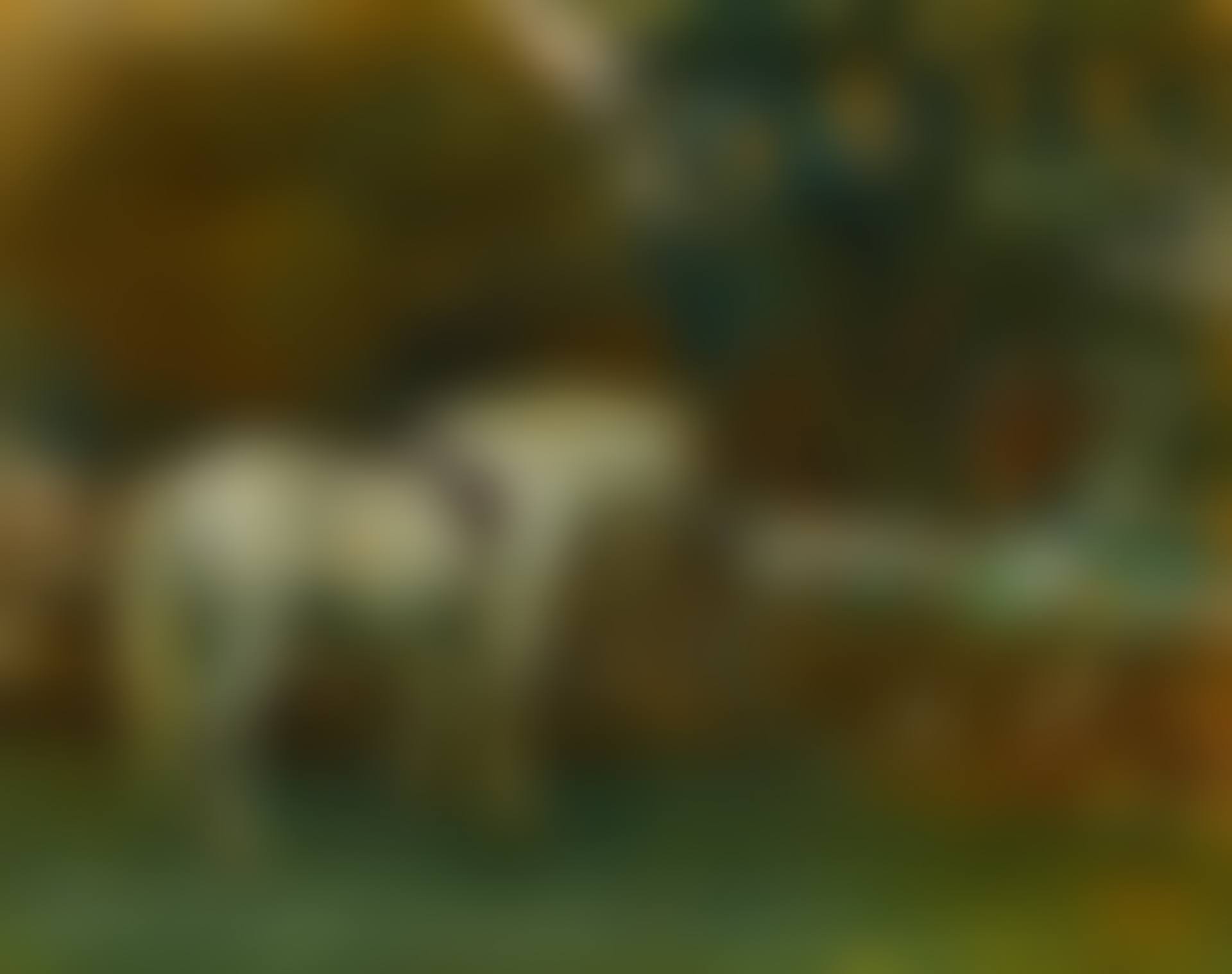 White Pony (preview)