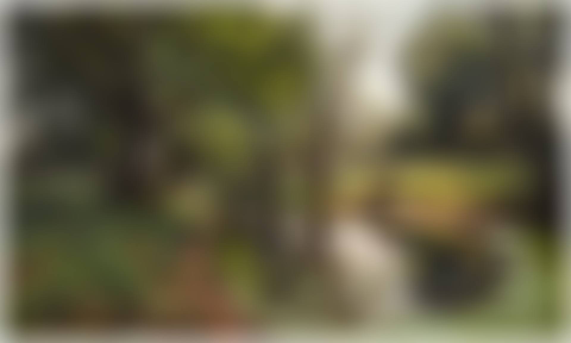 A Woodland Stream on a Summer Day (preview)