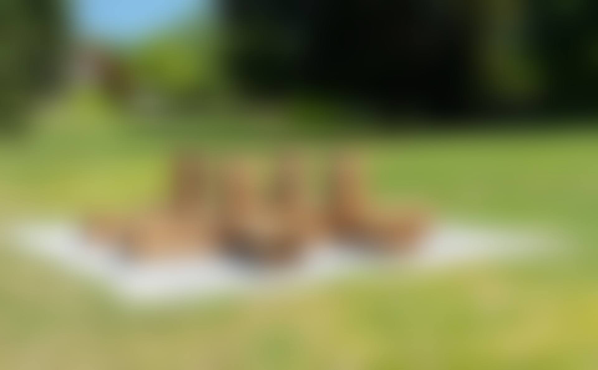 Sphinges (preview)