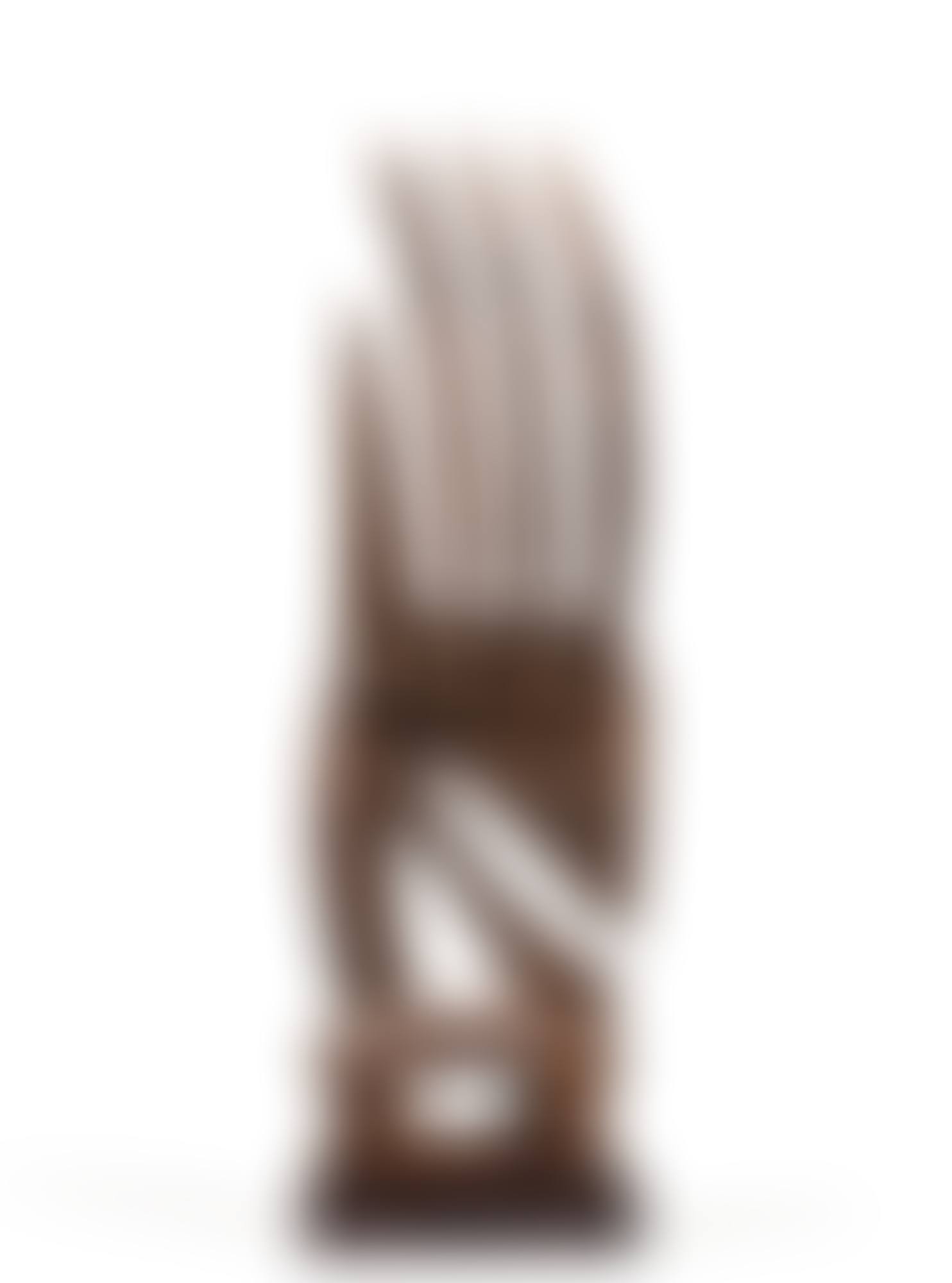 Bamana Ciwara Headdress, Mali (preview)