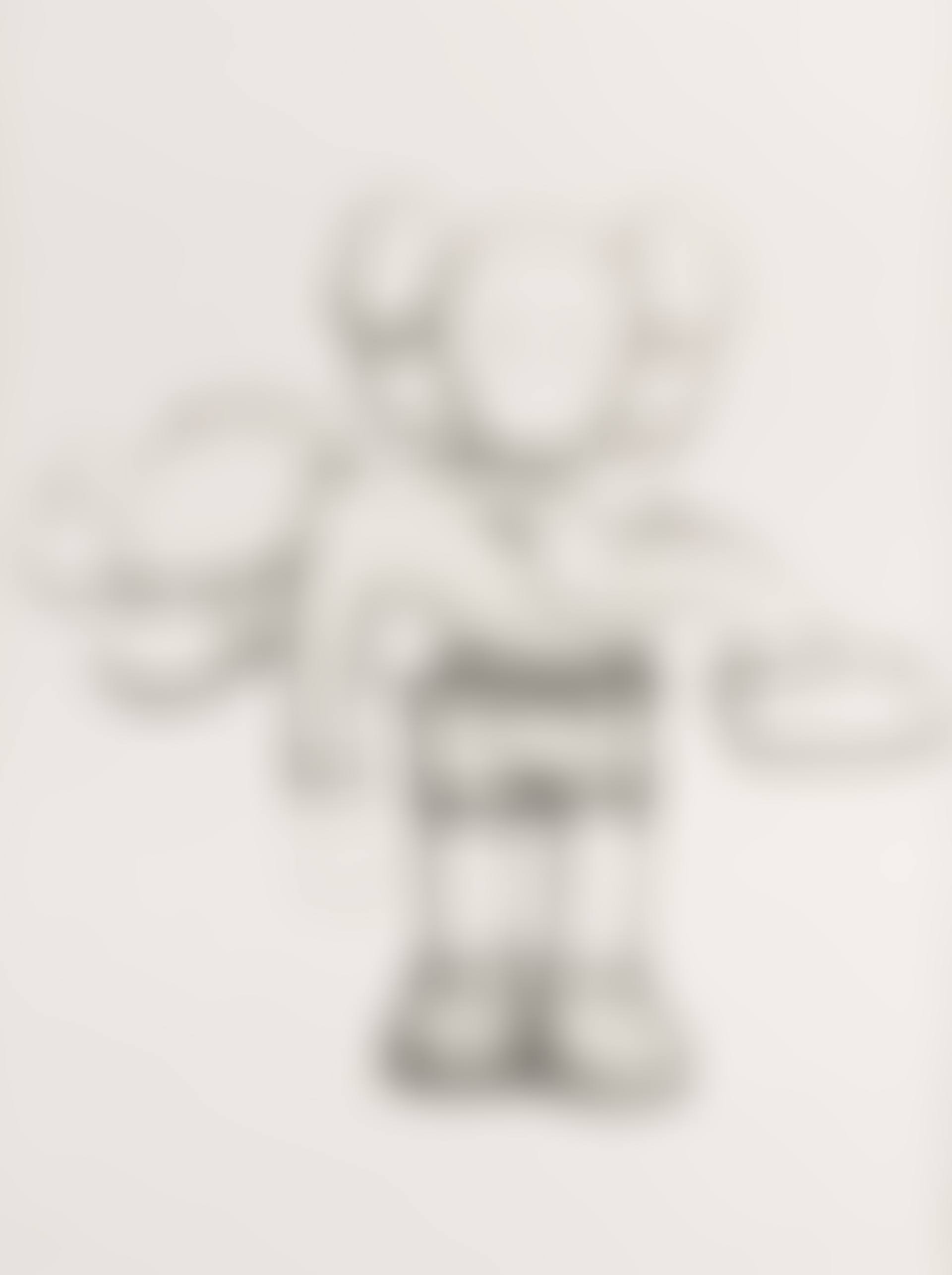 Companionship in the Age of Loneliness (preview)