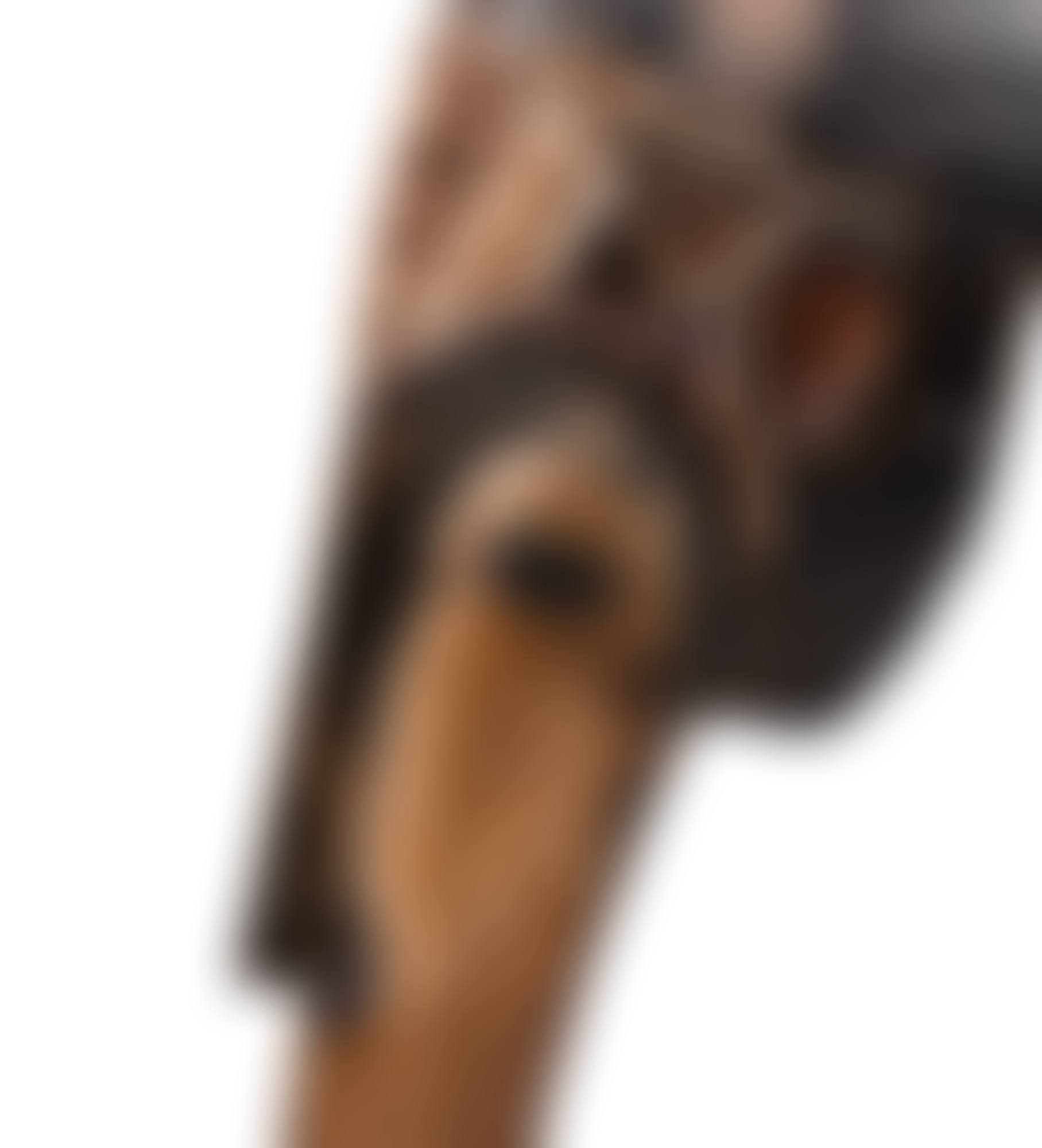Igbo Mask, Nigeria (preview)