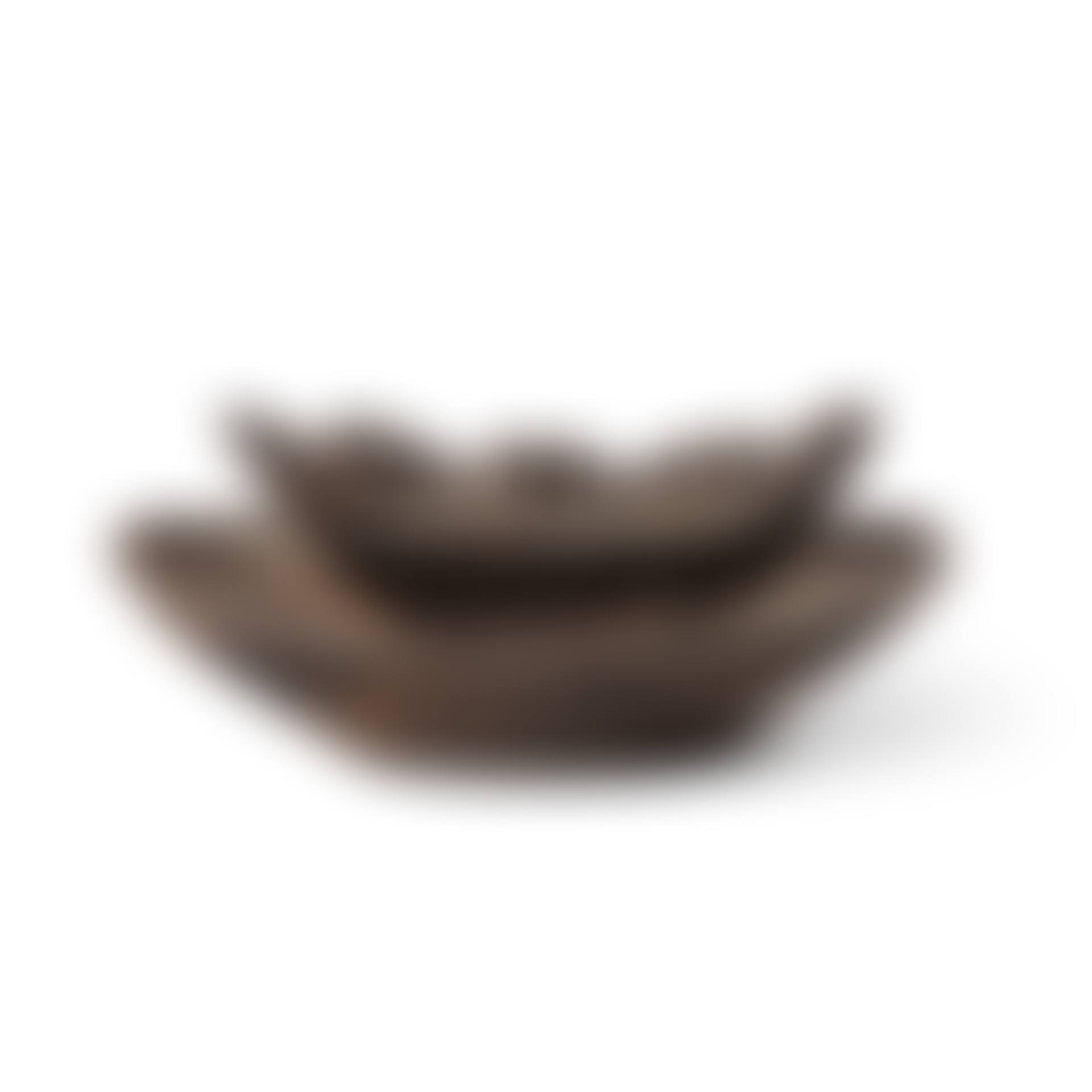 Igbo Kola nuts Cup, Nigeria (preview)