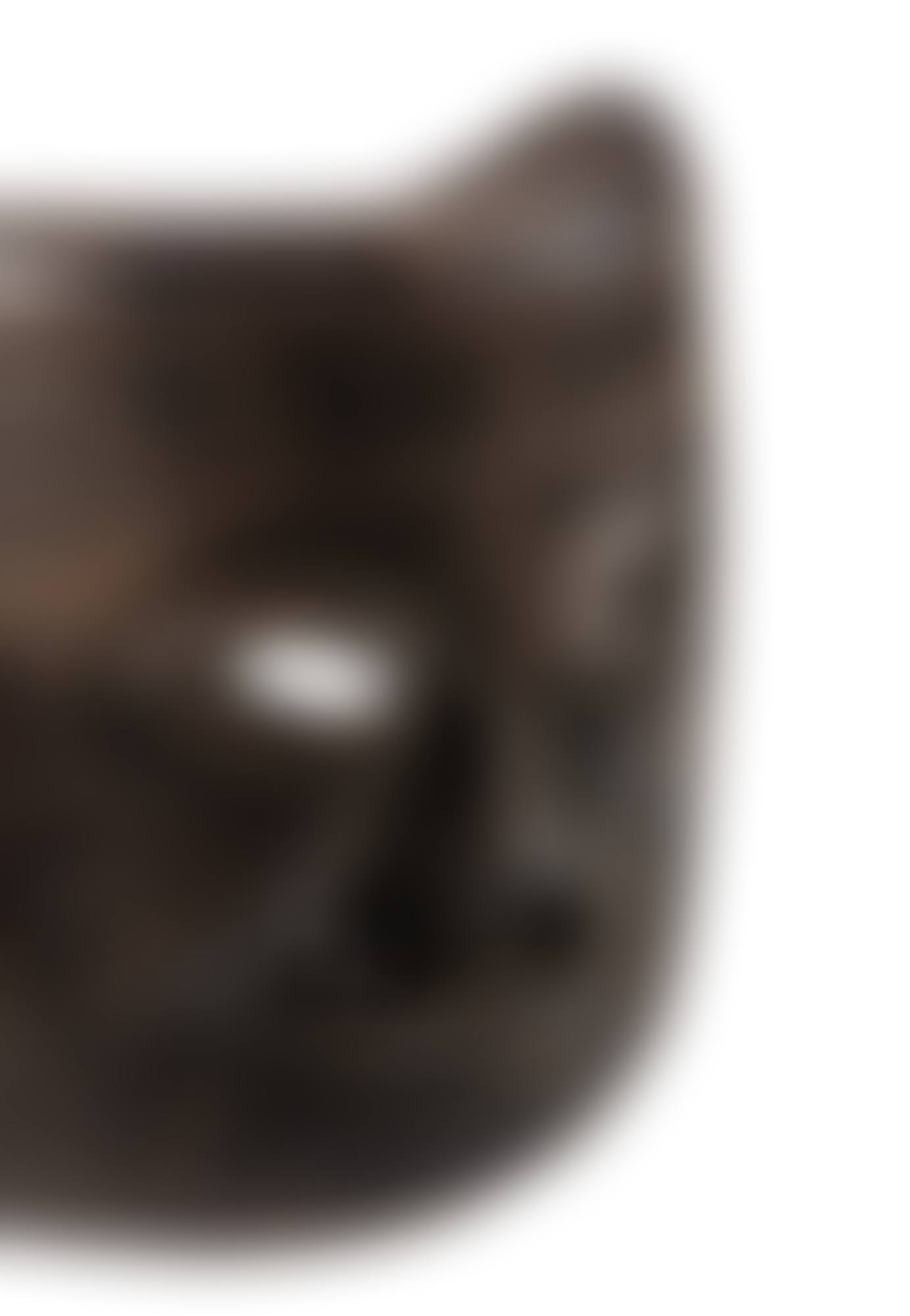 Mask, Nepal (preview)