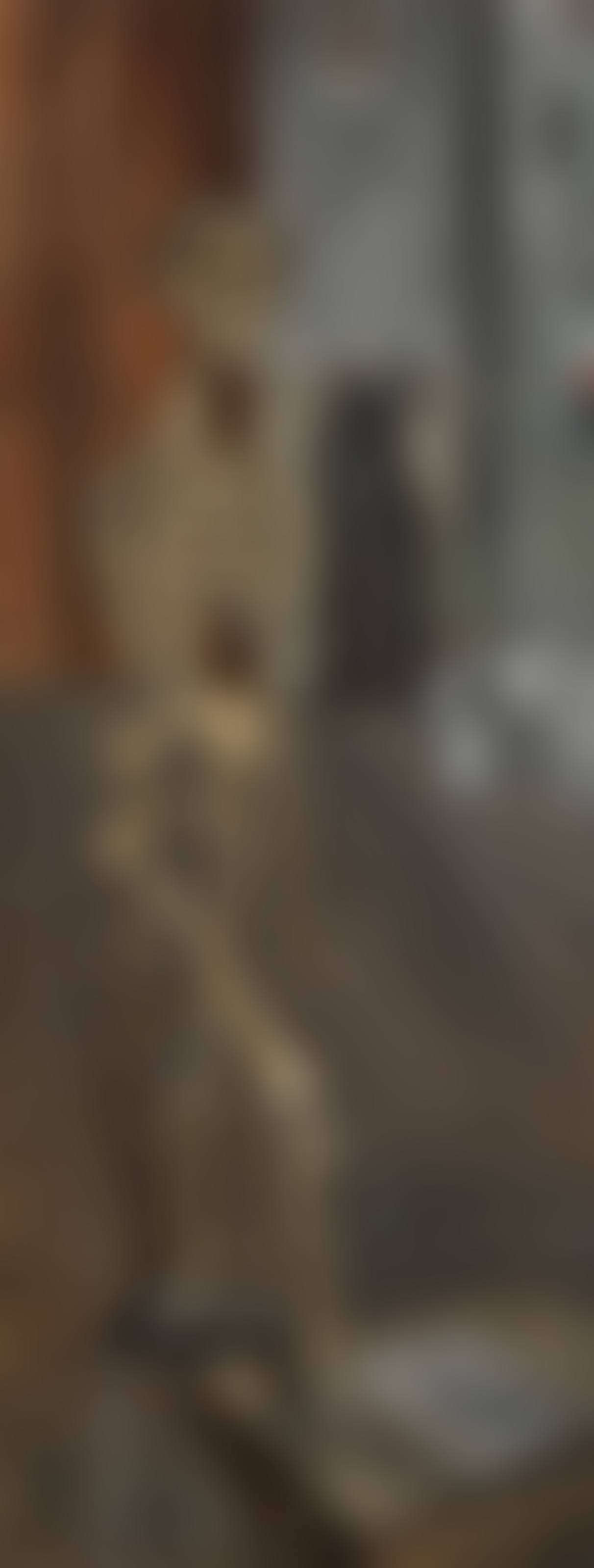 Squelette (preview)