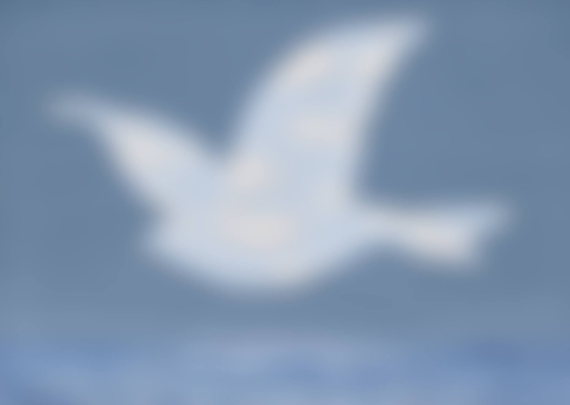 Le retour (preview)