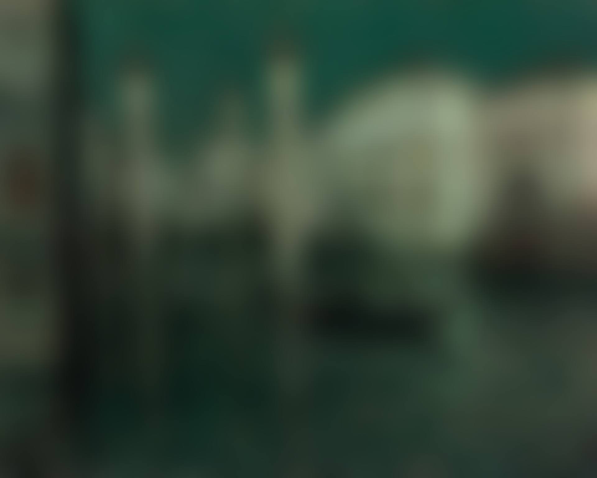 Le Grand Canal, Venise (preview)