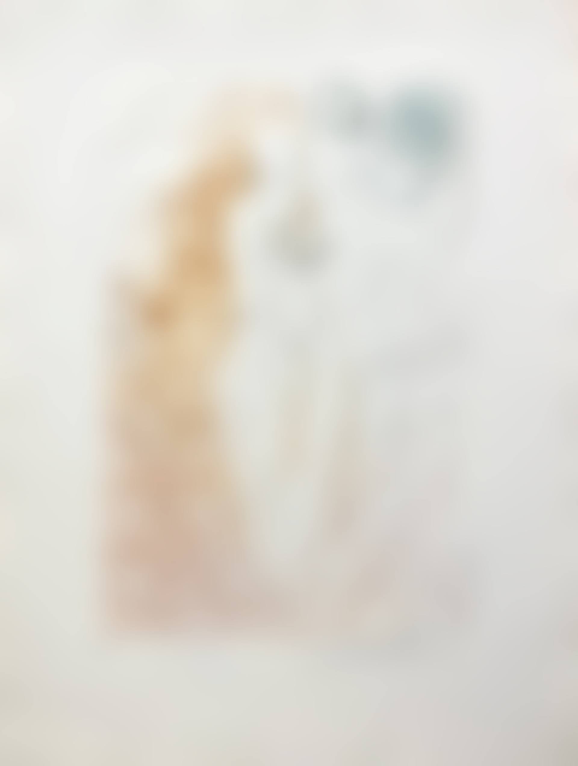 LA NAISSANCE DE VENUS, (preview)