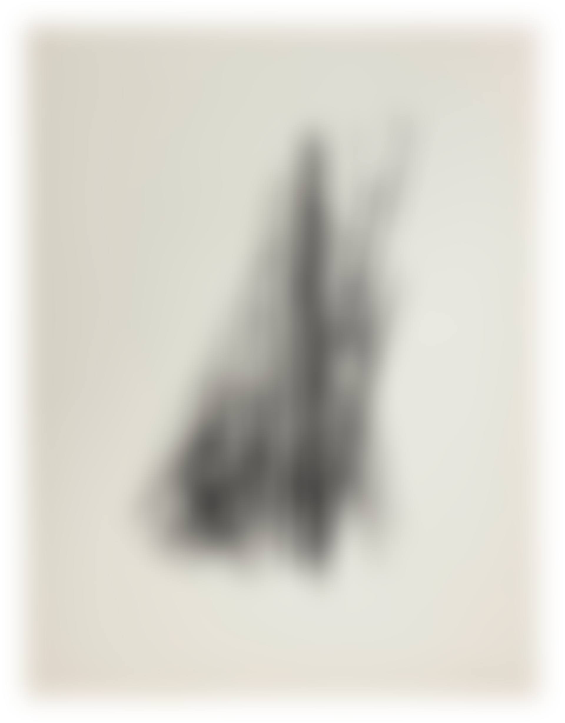 L.60 (preview)