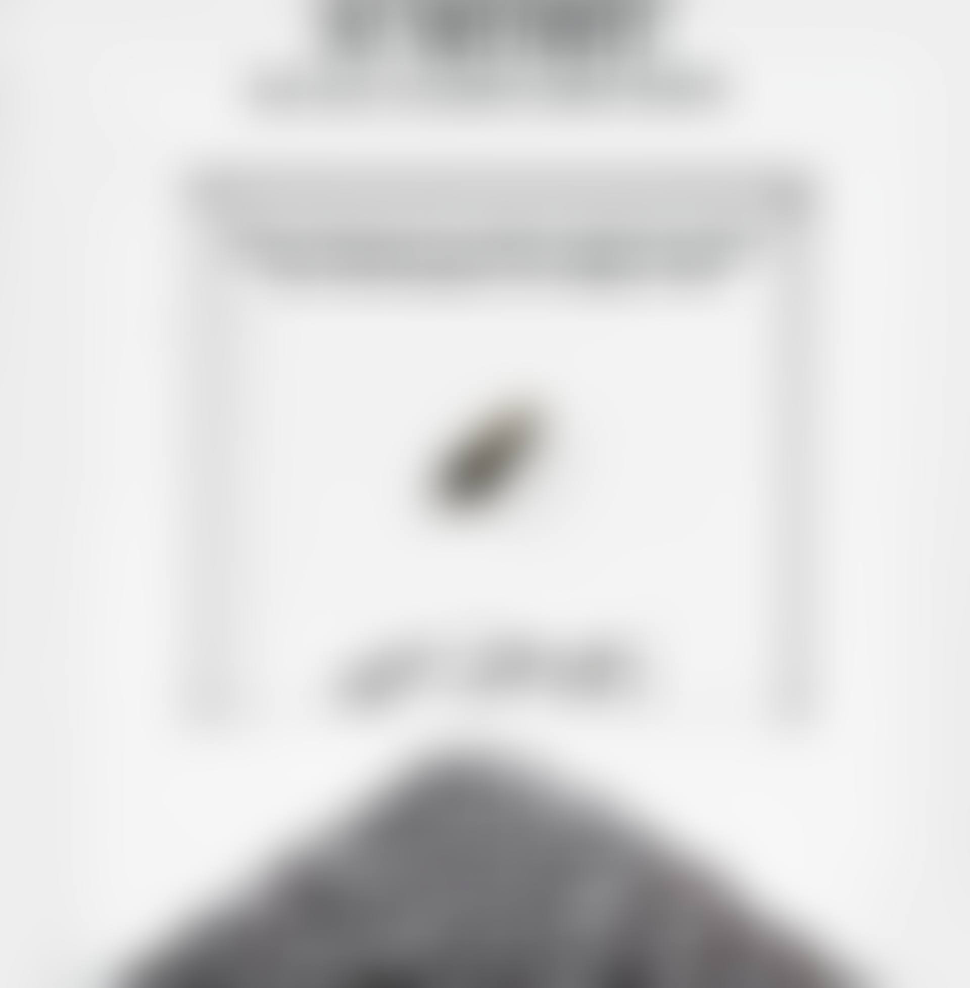 SUN FLOWER SEED (preview)